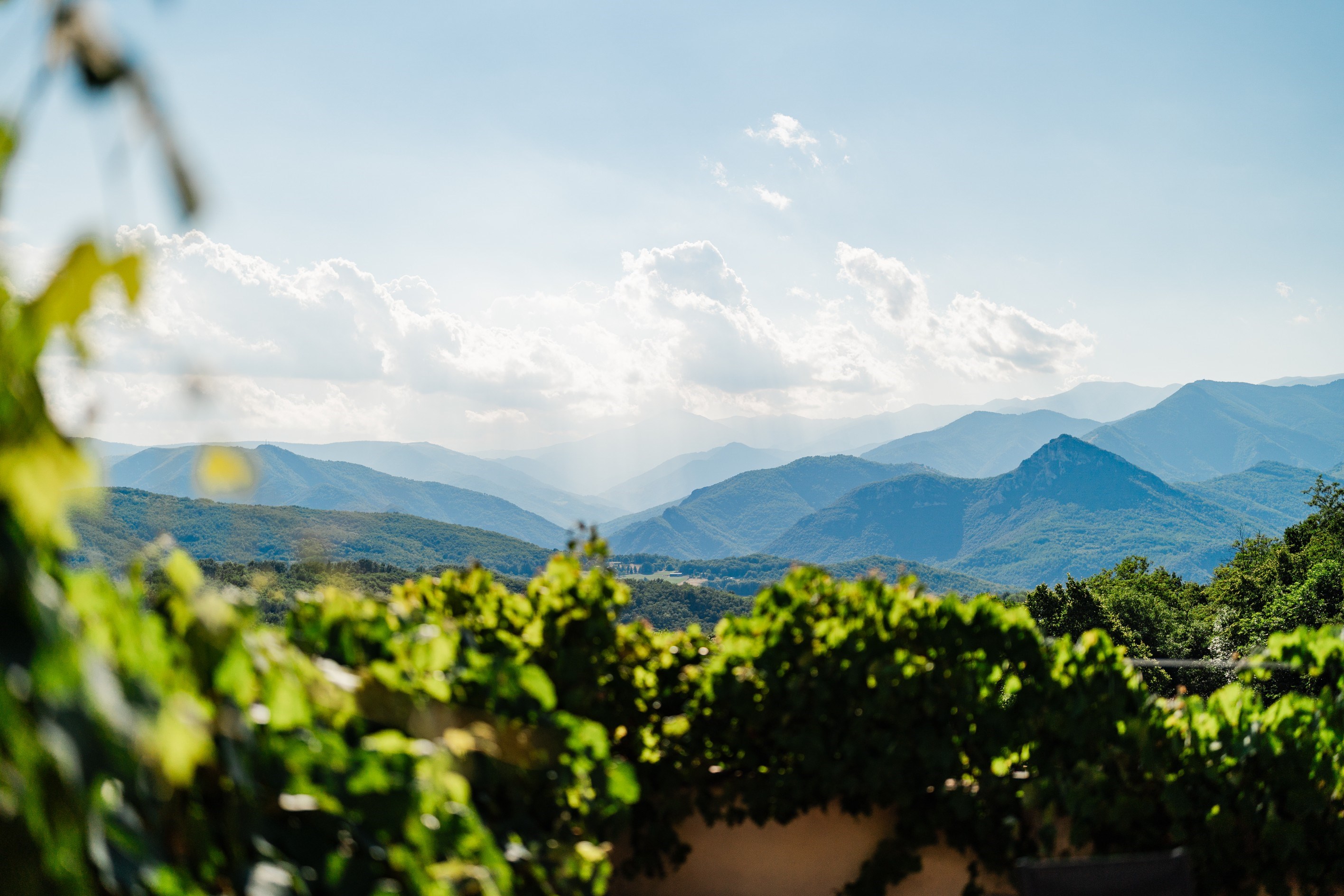  PRESTIGIOUS MAS IN THE HEART OF VALLESPIR WITH 39 HECTARES - 物件實景
