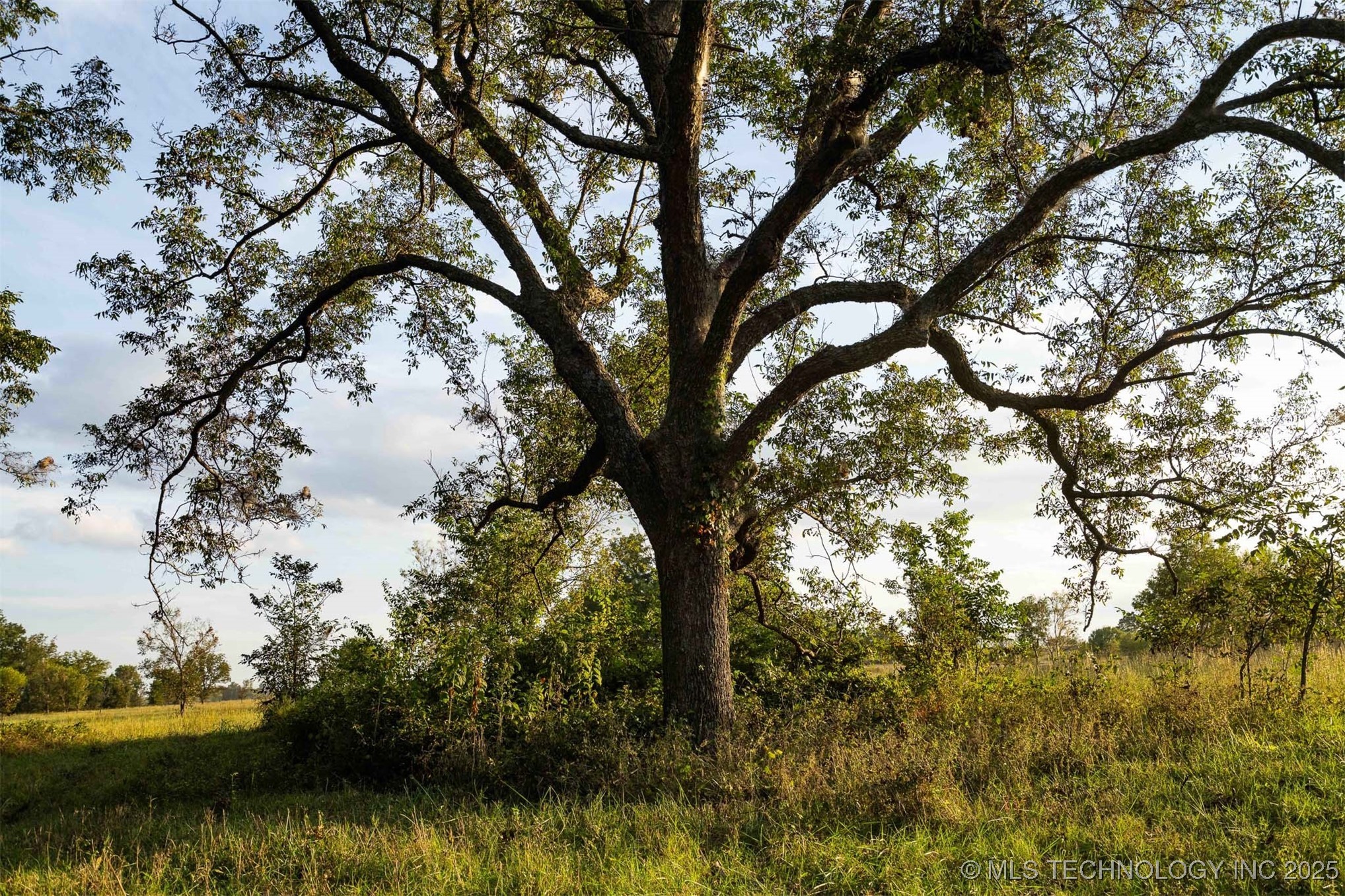 Haskell, Oklahoma, 74436, United States, ,Residential,For Sale,1989119
