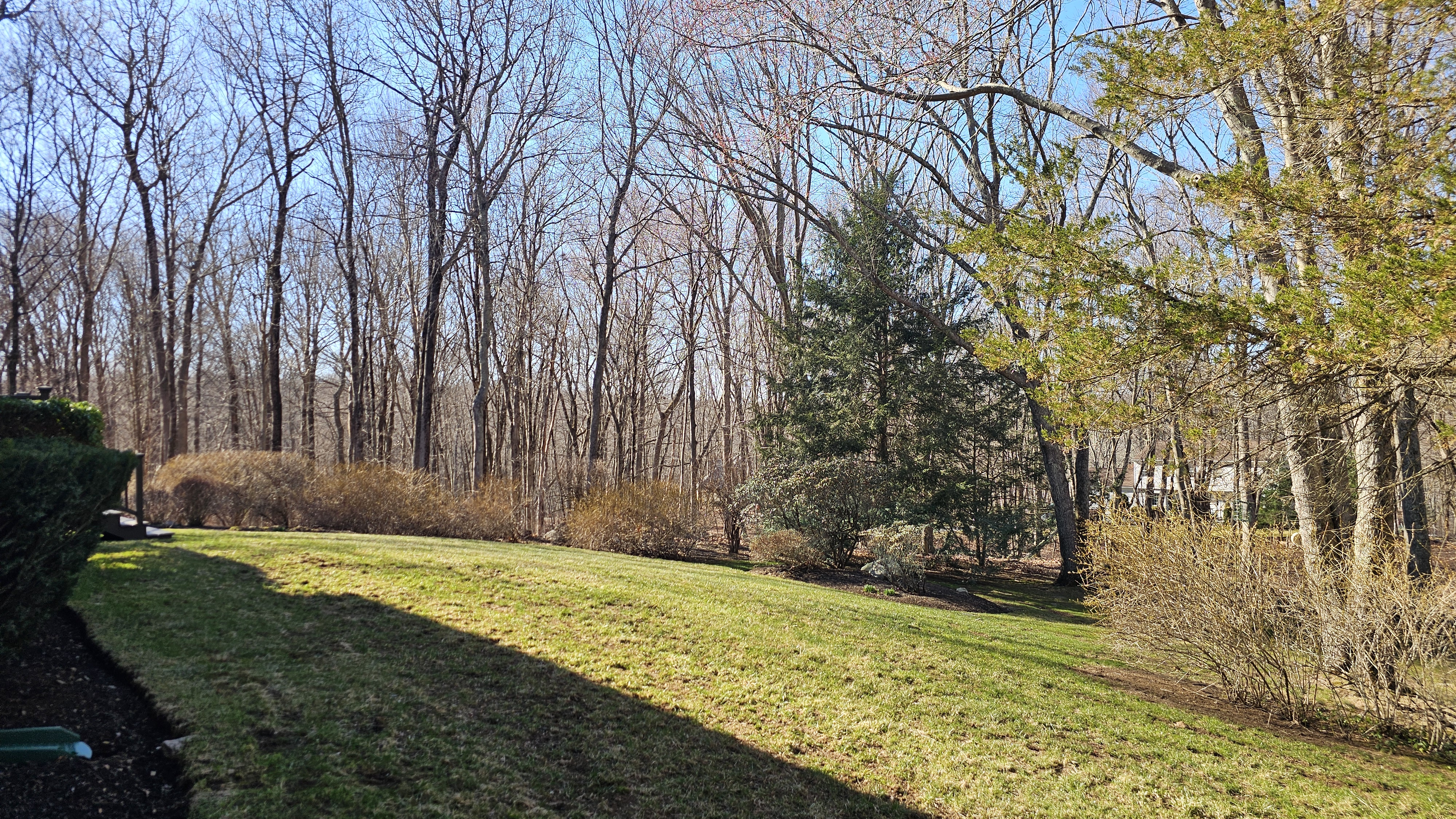  Situated on 2.33 Private Acres - 物件實景