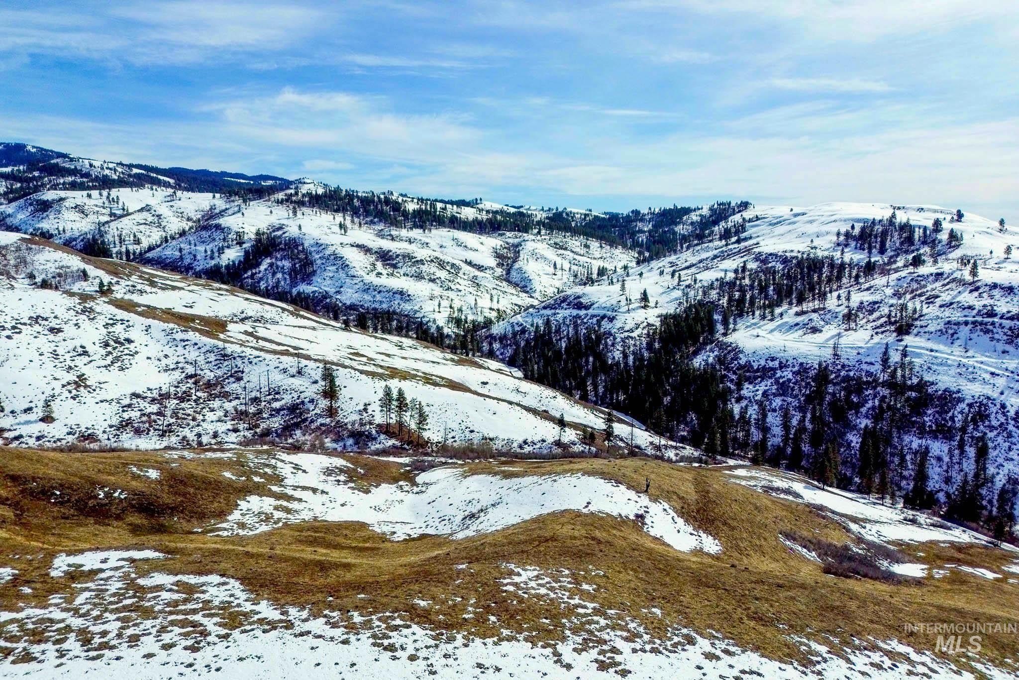 Council, Idaho, 83612, United States, ,Residential,For Sale,1921921
