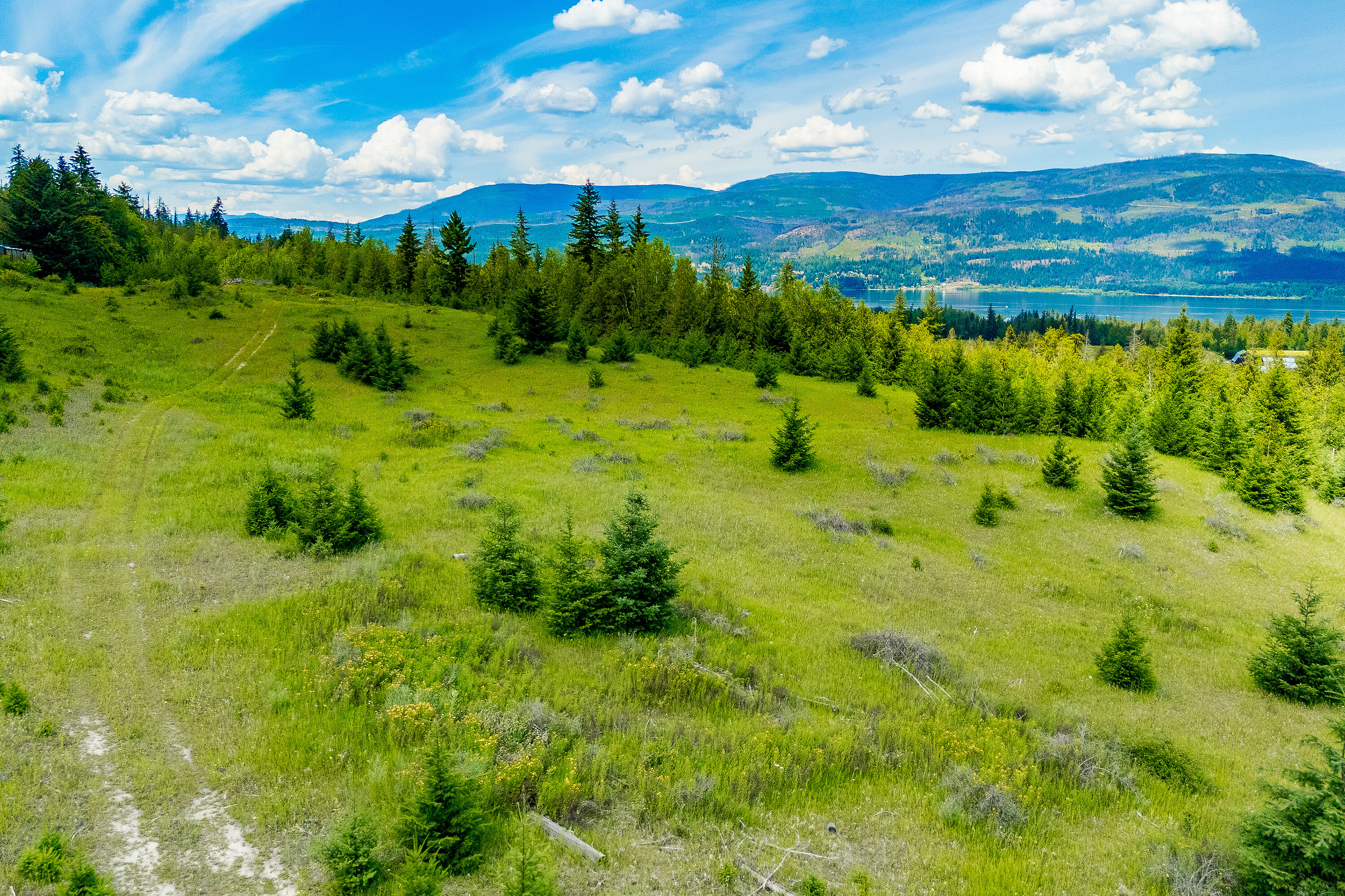  35.237 Acre Parcel in Sorrento - 物件實景