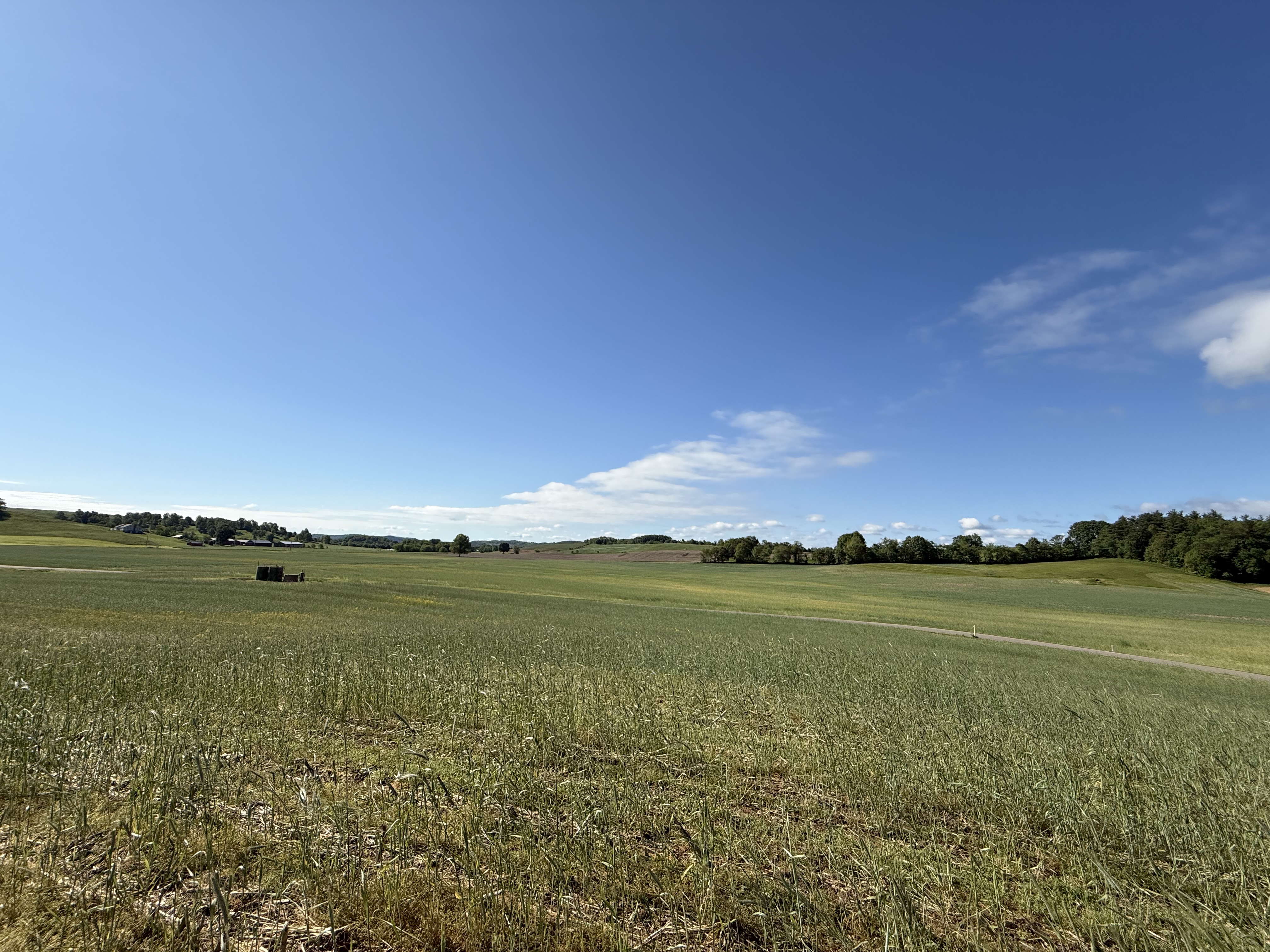 West Lafayette, Ohio, 43845, United States, ,Residential,For Sale,1825407