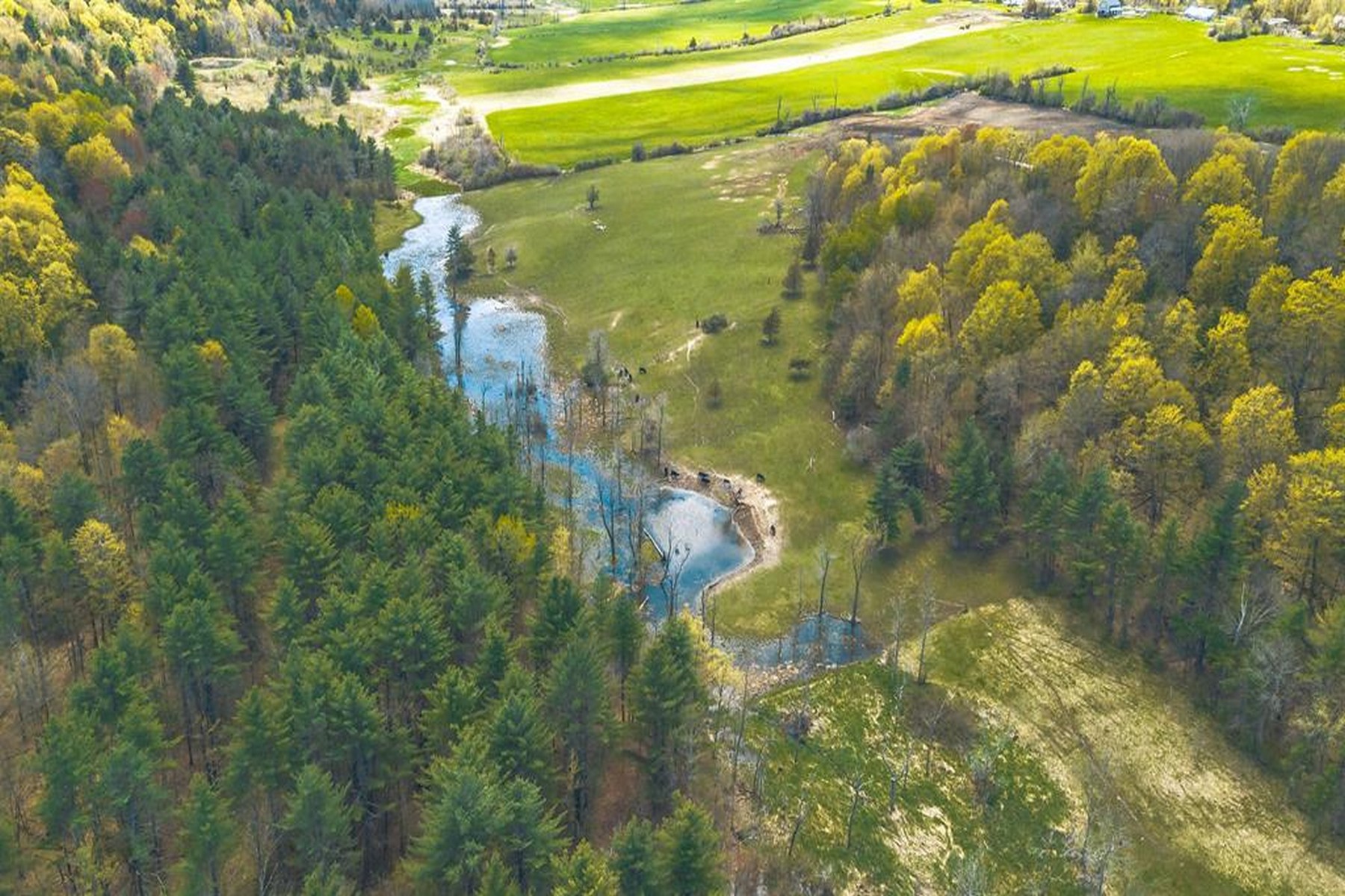  1555 Spear Street - 物件實景