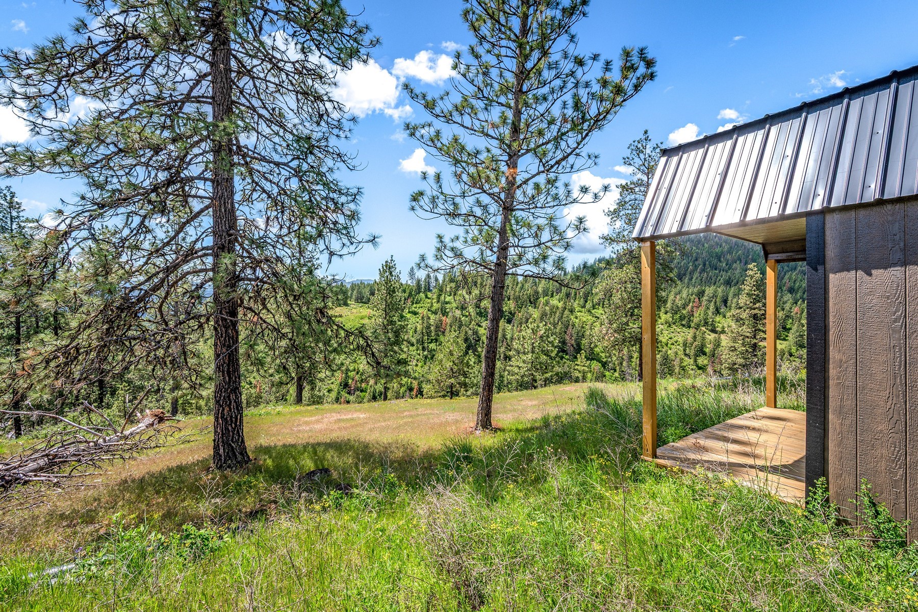  Cabins on 17ac. Surrounded by Lumber Land - 物件實景