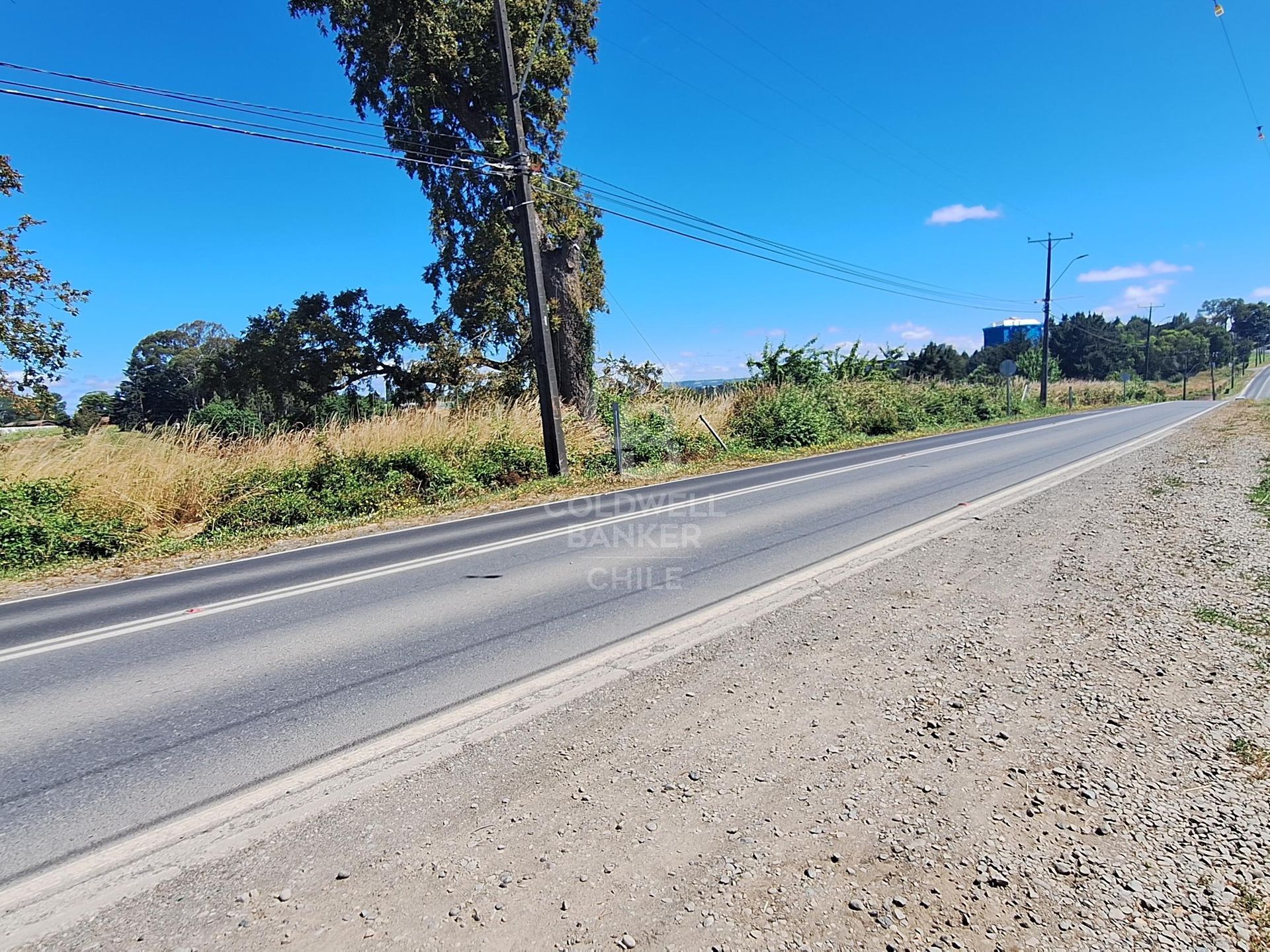 Osorno, Chile, ,Land,For Sale,1972838