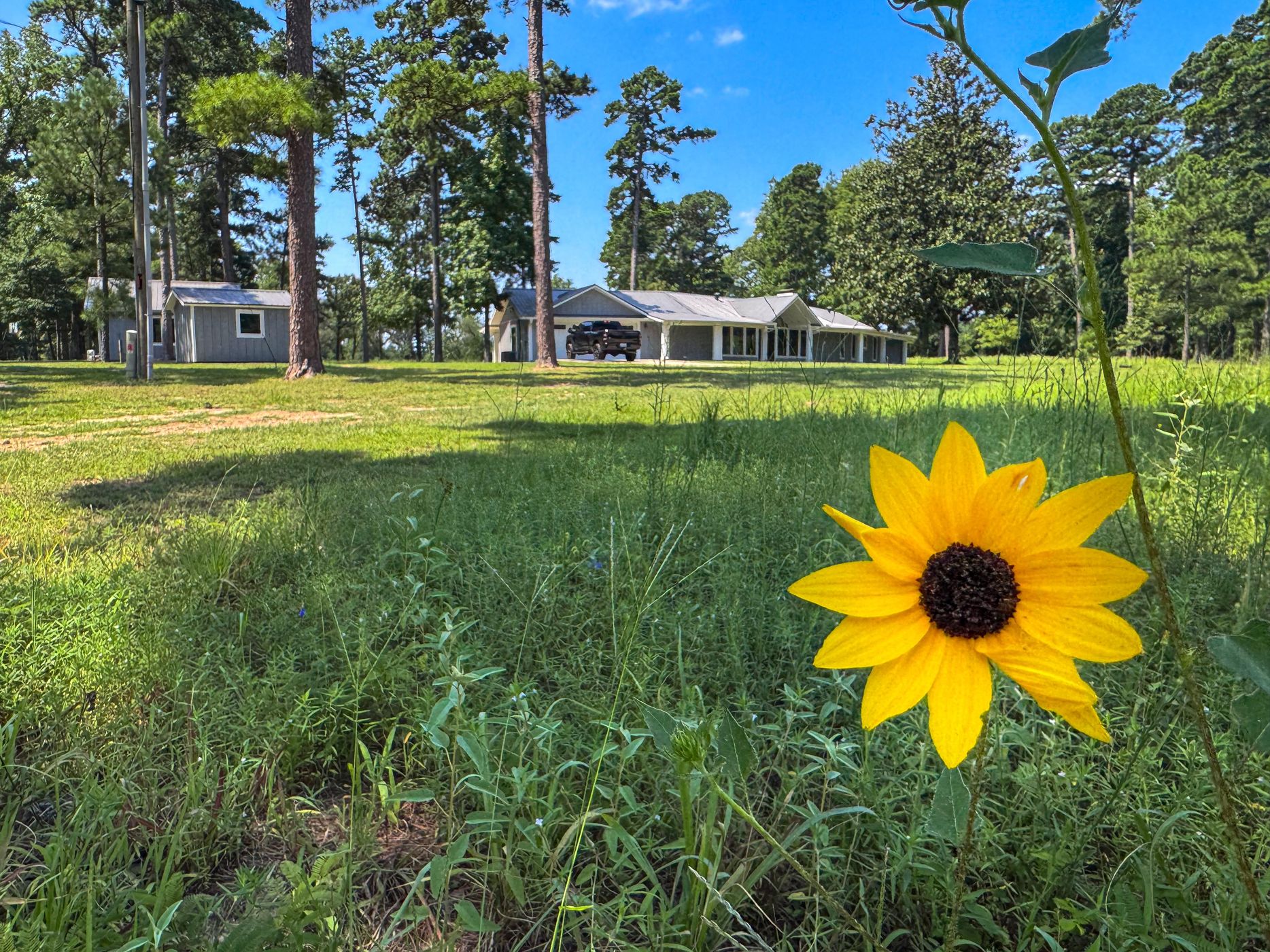 Douglassville, Texas, 75560, United States, 4 Bedrooms Bedrooms, ,3 BathroomsBathrooms,Residential,For Sale,1914297