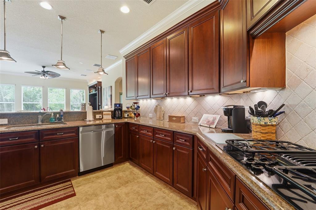 Brooksville, Florida, 34601, United States, 3 Bedrooms Bedrooms, ,5 BathroomsBathrooms,Residential,For Sale,2023229