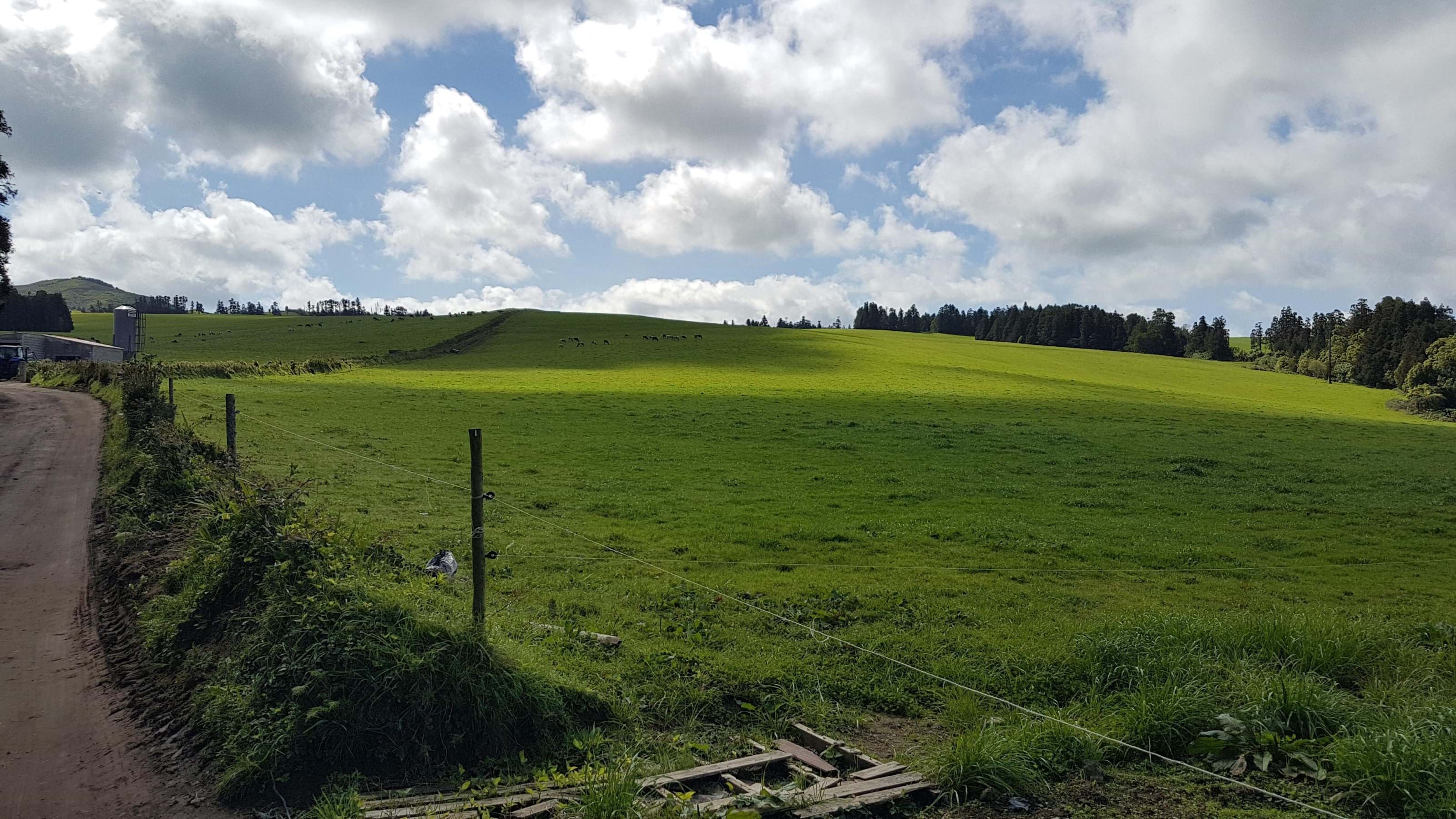 Ribeira Grande, Ilha de São Miguel, 9600, PT, ,Land,For Sale,1699985