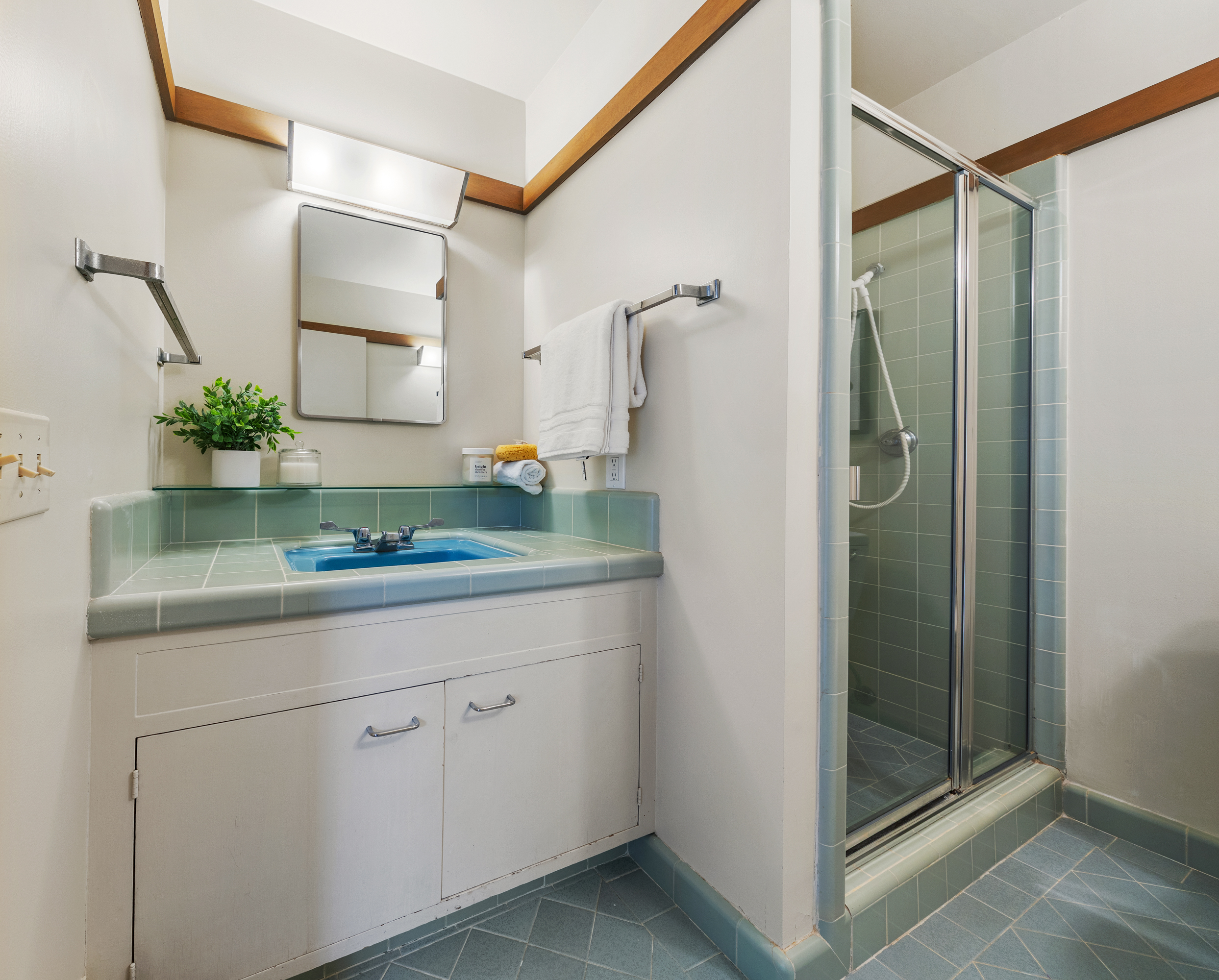  Single-Level Mid-Century Modern Home in the Coveted Flats of Belvedere - 物件實景