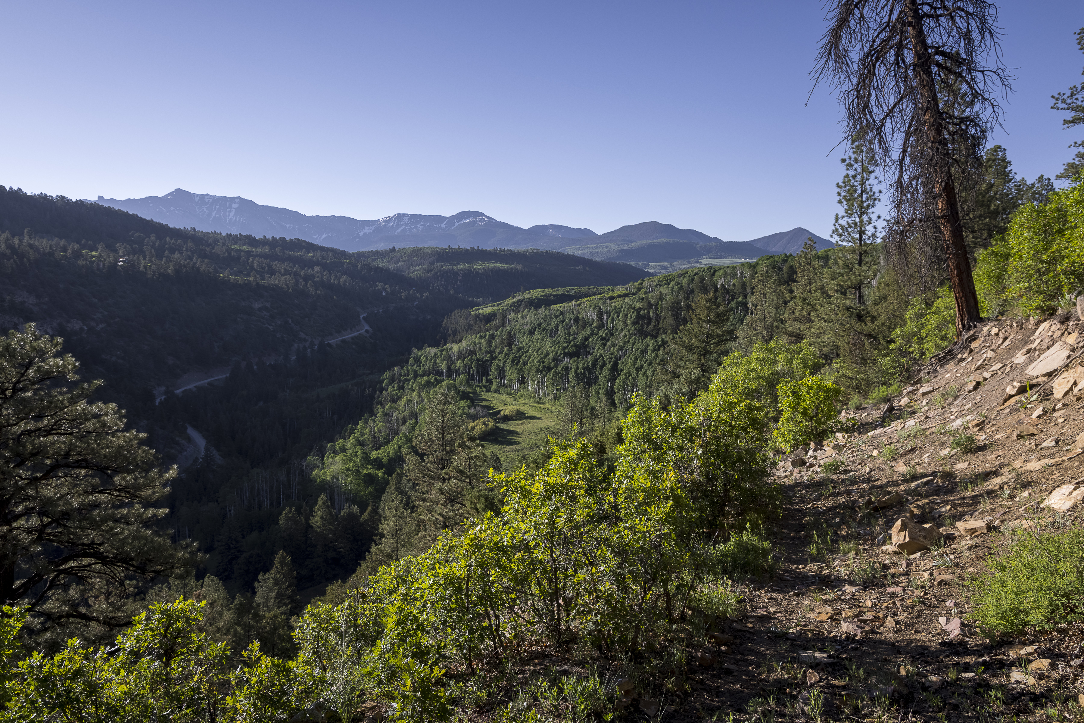  Telluride Renegade Ranch - 602 acres on Hastings Mesa - 物件實景