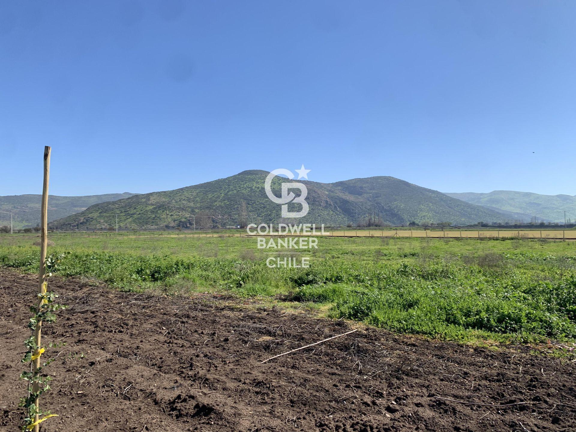 Colina, Chile, ,Land,For Sale,1940115