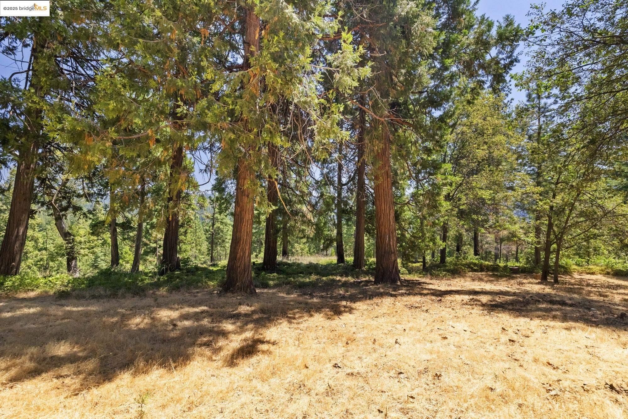 Mi Wuk Village, California, 95346, United States, 4 Bedrooms Bedrooms, ,3 BathroomsBathrooms,Residential,For Sale,1826710