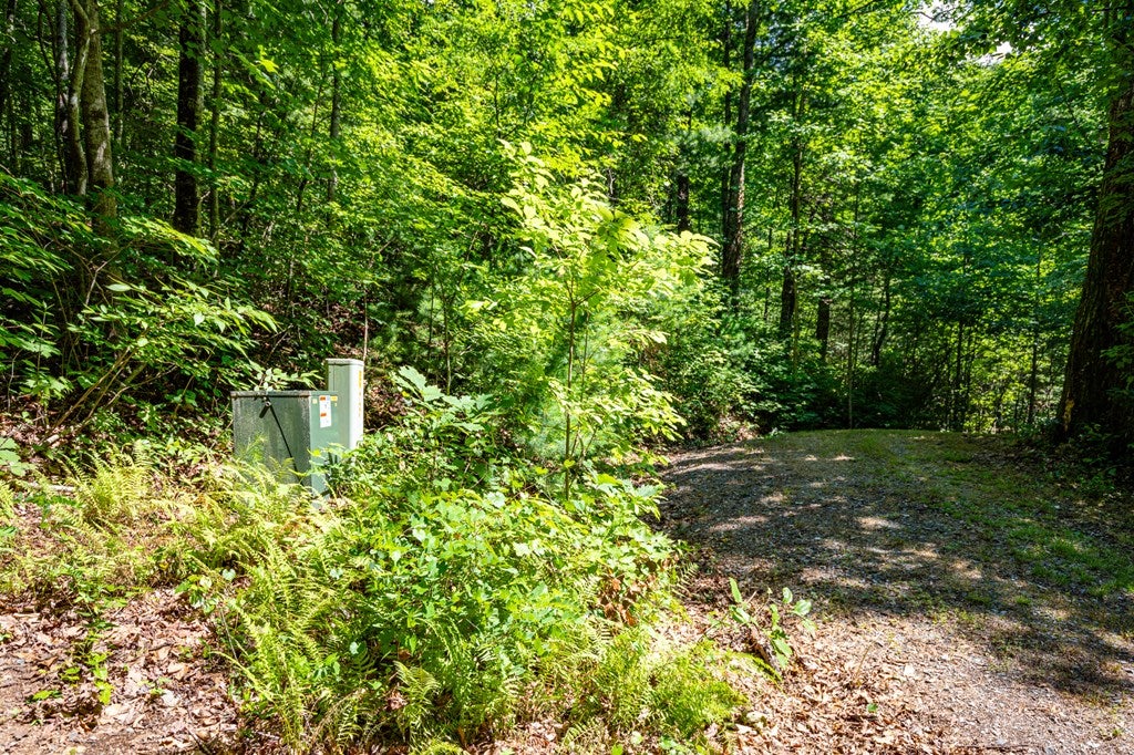 Cherry Log, Georgia, 30522, United States, ,Land,For Sale,1858995