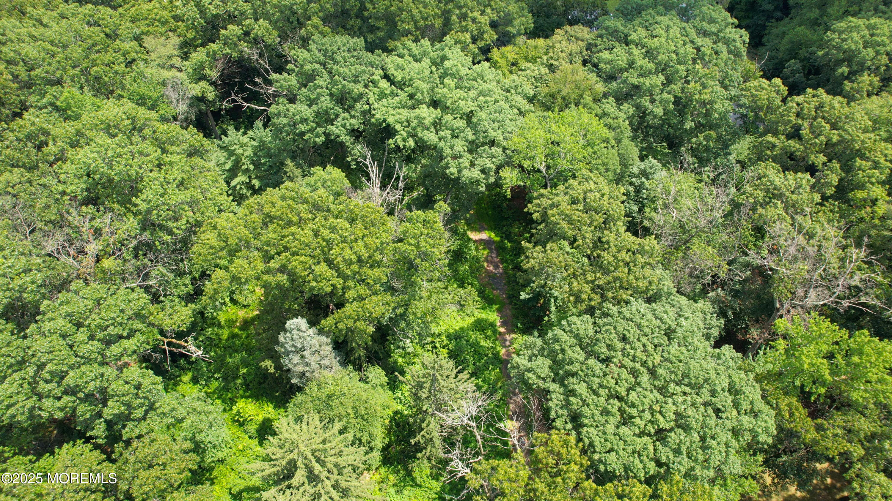 Monroe, New Jersey, 08831, United States, ,Land,For Sale,1932074