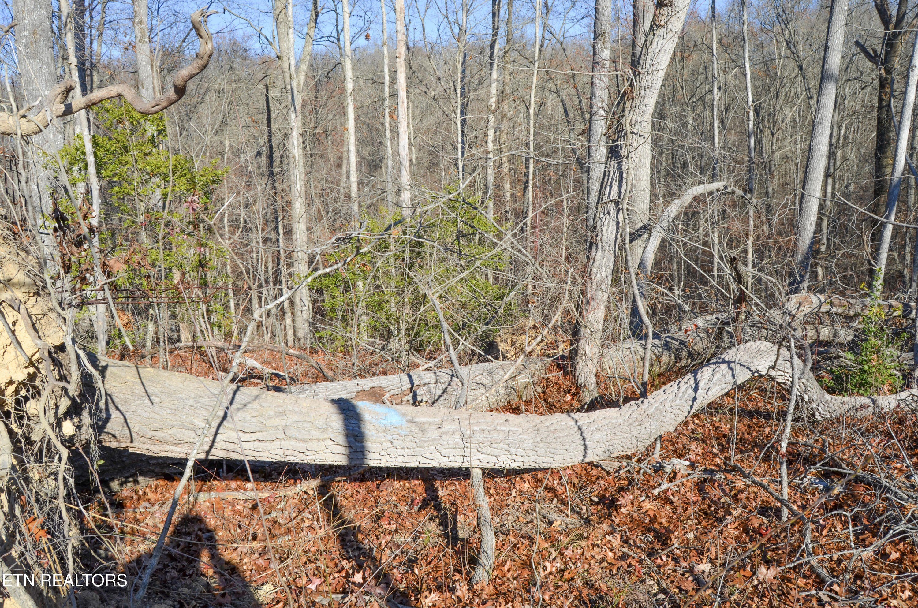 Crossville, Tennessee, 38555, United States, ,Land,For Sale,1978266