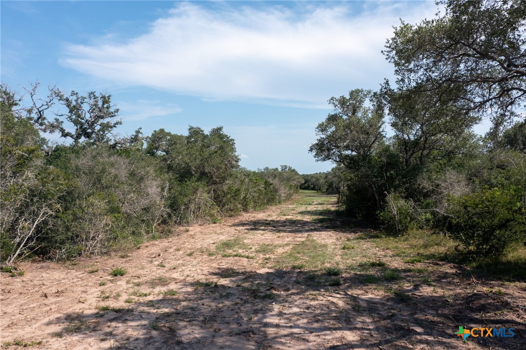 Yorktown, Texas, 78164, United States, ,Land,For Sale,1856260