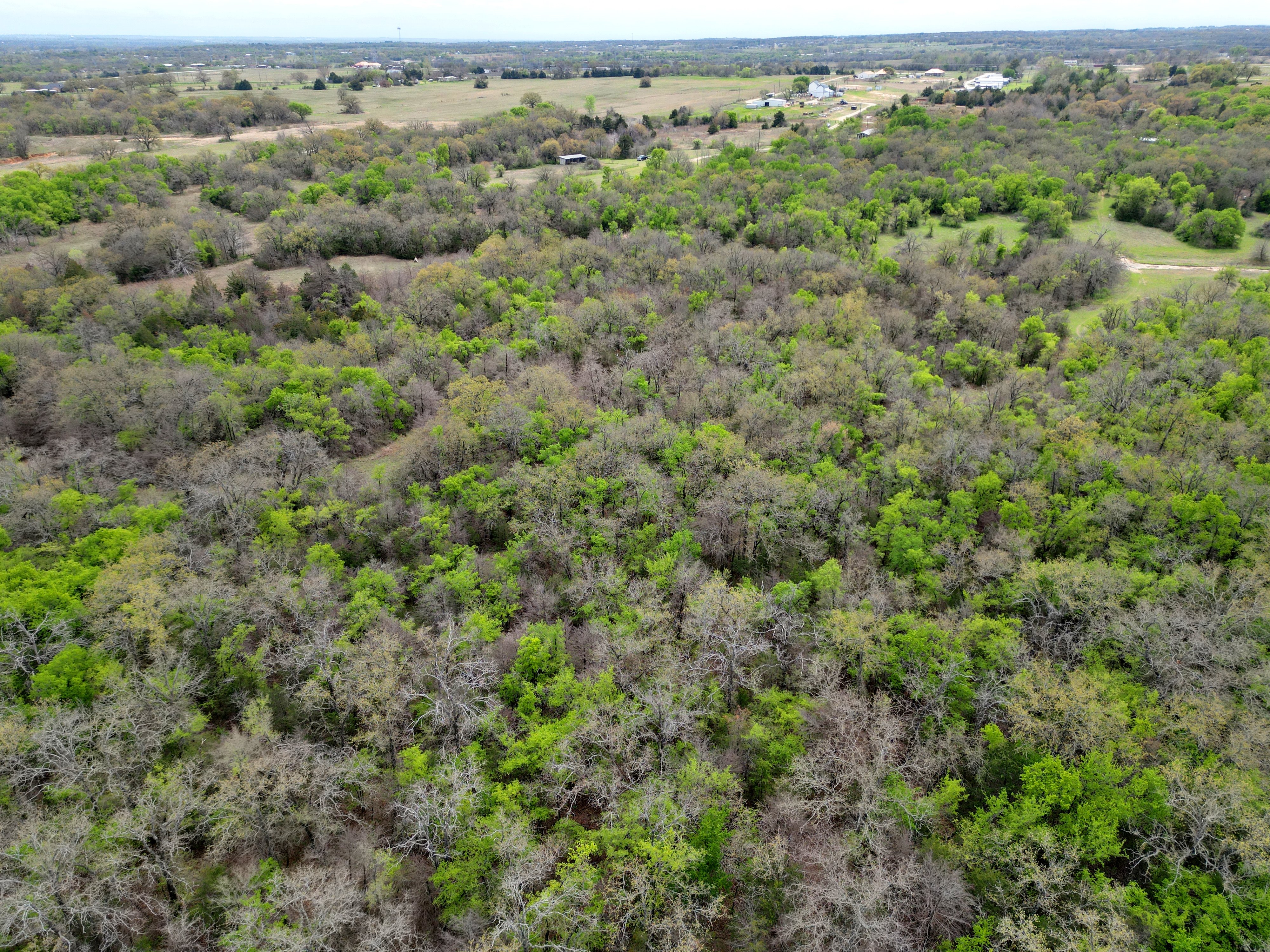 Boyd, Texas, 76023, United States, 2 Bedrooms Bedrooms, ,1 BathroomBathrooms,Residential,For Sale,1980288