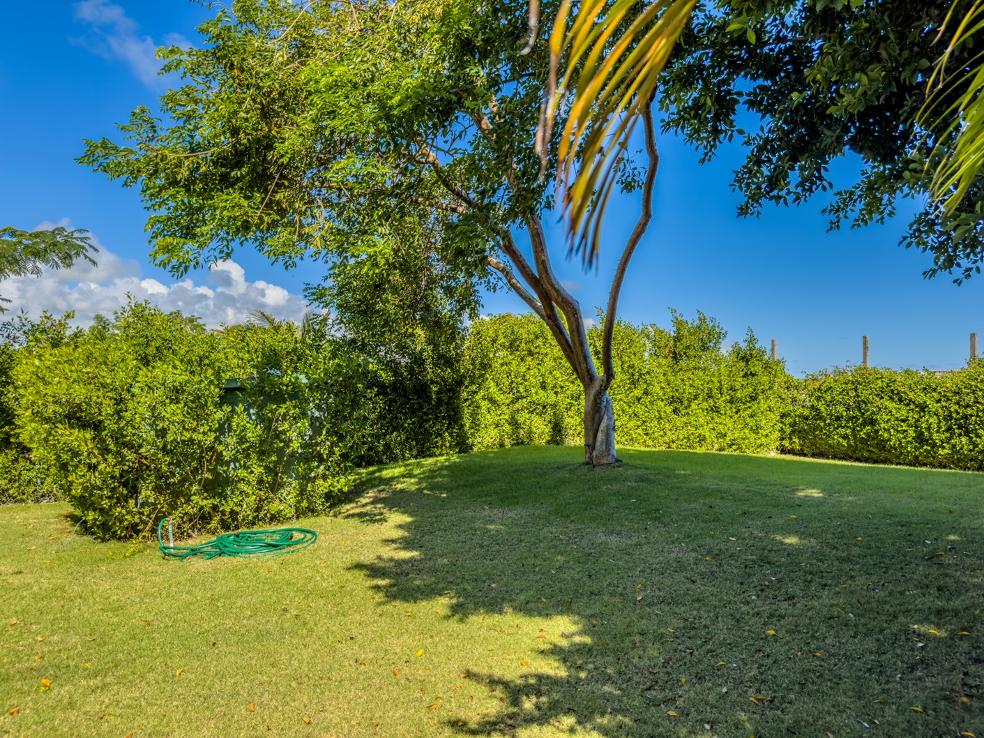 Serene Oasis 3 Bedroom Cap Cana Villa with Expansi, Cap Cana, DO, 3 Bedrooms Bedrooms, ,4 BathroomsBathrooms,Residential,For Sale,Serene Oasis 3 Bedroom Cap Cana Villa with Expansi,1621087