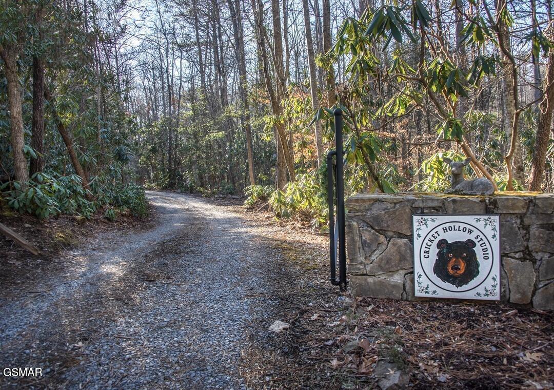 Cosby, Tennessee, 37722, United States, 3 Bedrooms Bedrooms, ,4 BathroomsBathrooms,Residential,For Sale,2036107