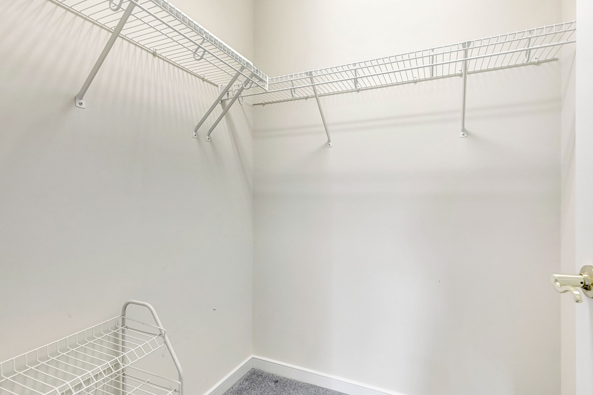  10116 Locklies Drive, Glen Allen, VA 23060 - 物件實景