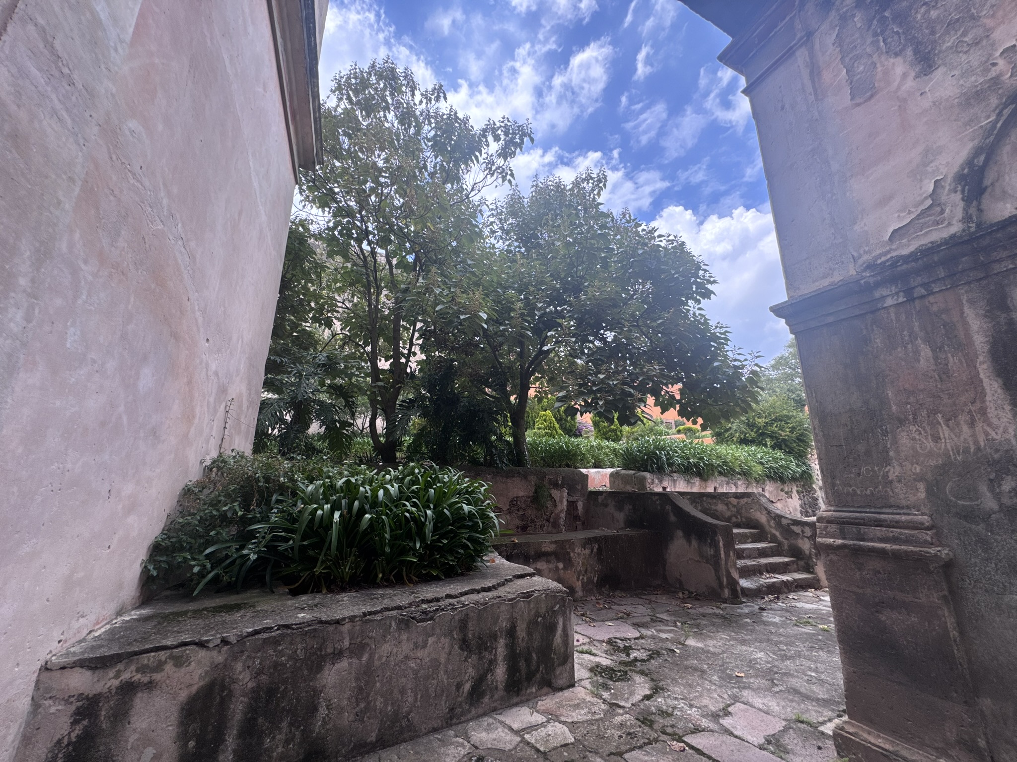  RANCHO EL MOLINO - 物件實景