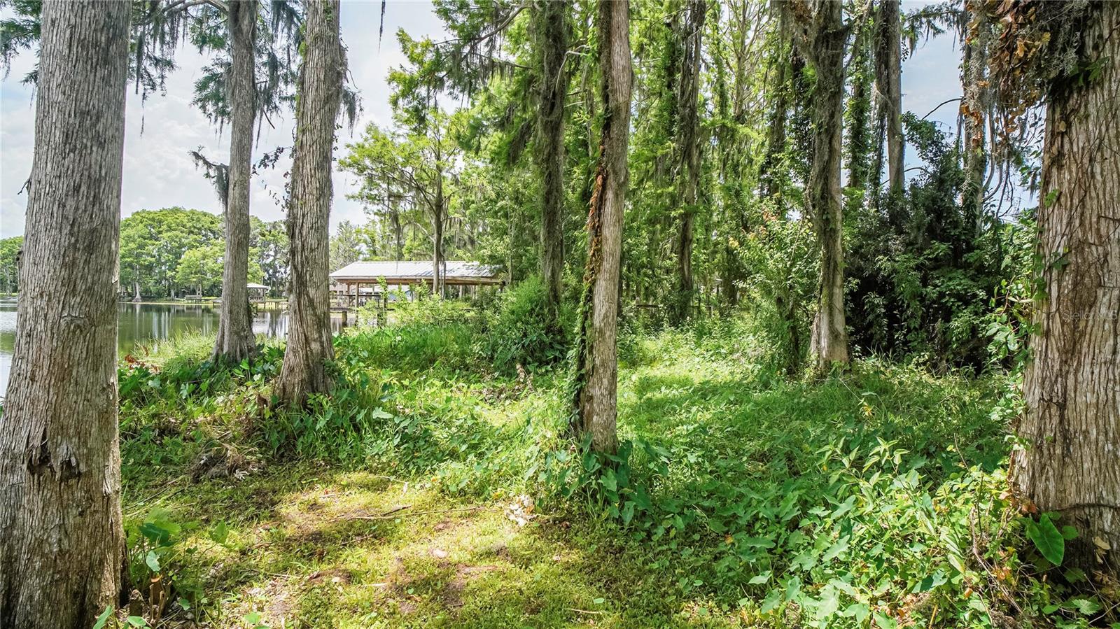 LAND O LAKES, Florida, 34638, United States, 3 Bedrooms Bedrooms, ,1 BathroomBathrooms,Residential,For Sale,1829291