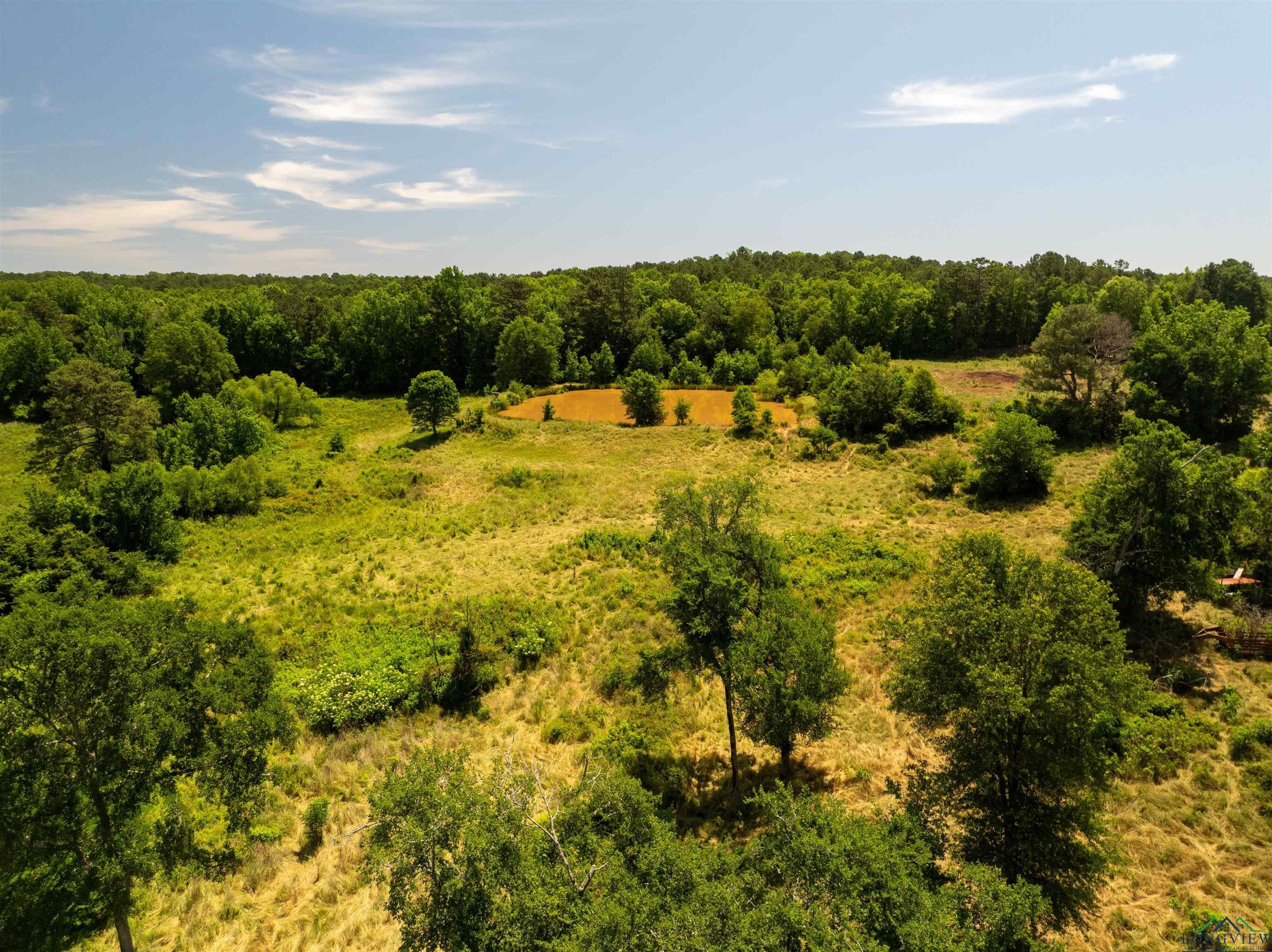 7557 FM 248, Lodi, Texas, 75564, United States, ,Residential,For Sale,7557 FM 248,1614560
