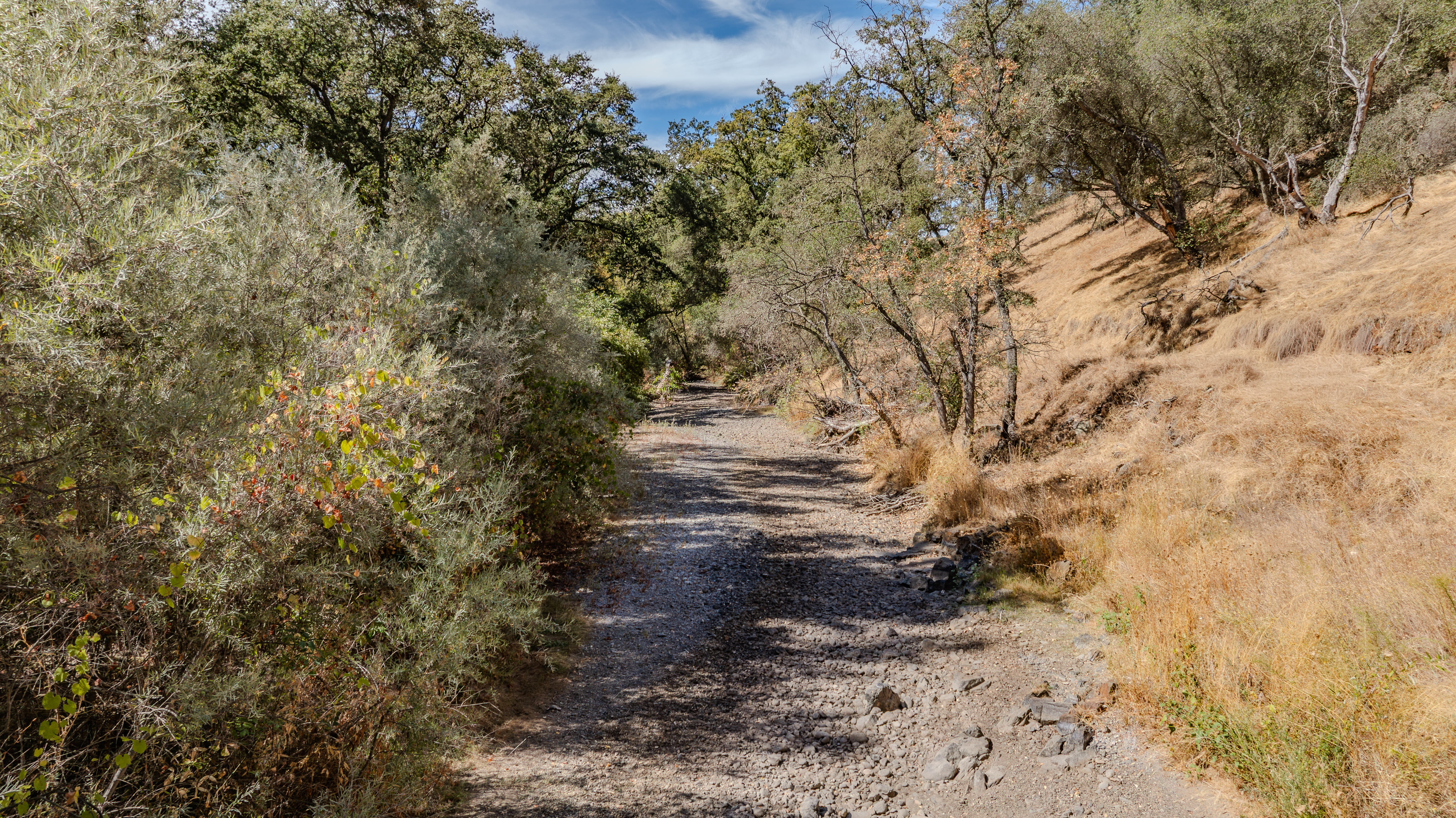  Creek Frontage - Views - Stroll to Downtown Sutter Creek - 物件實景