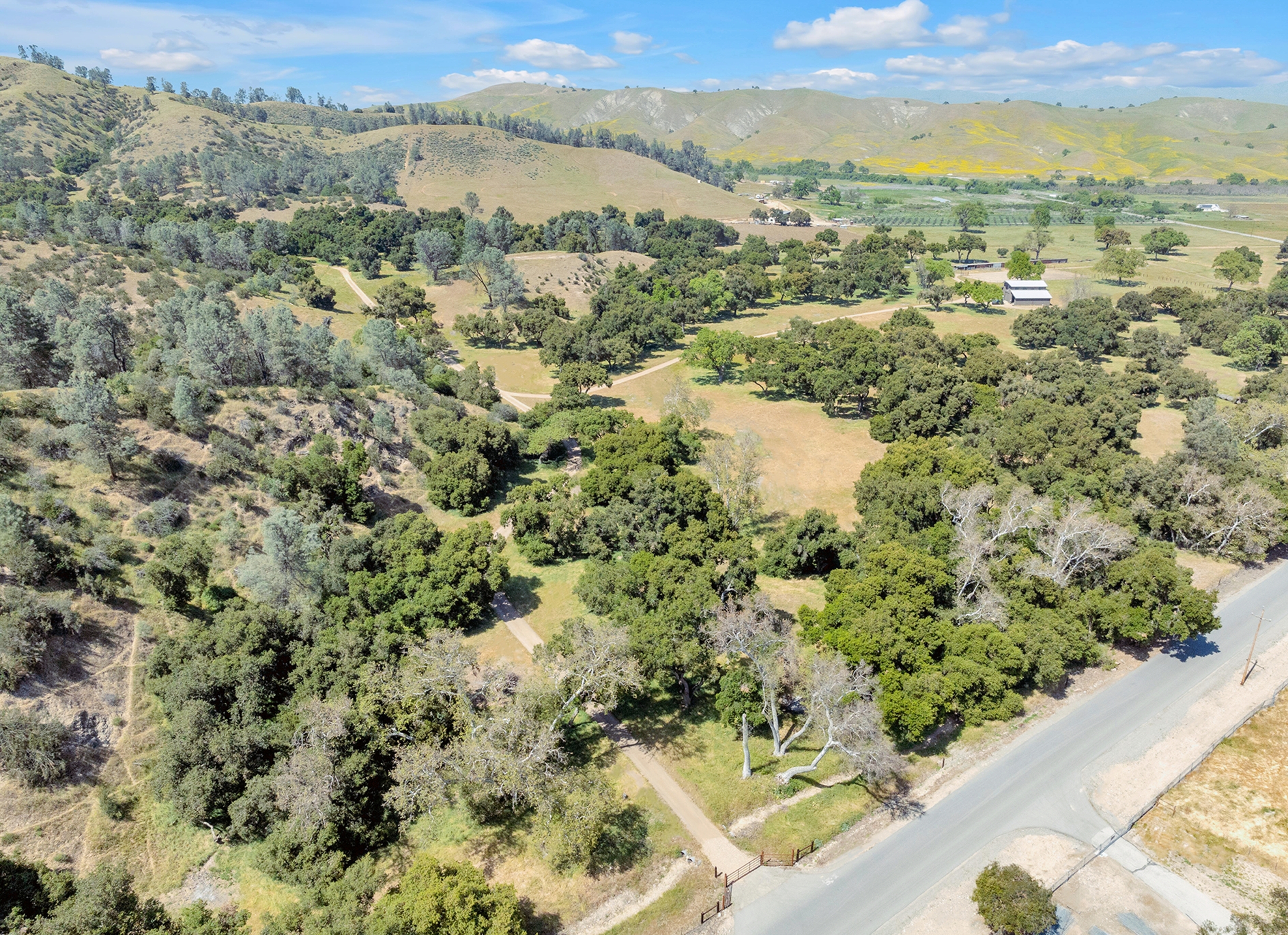  770 Limekiln Road - 物件實景
