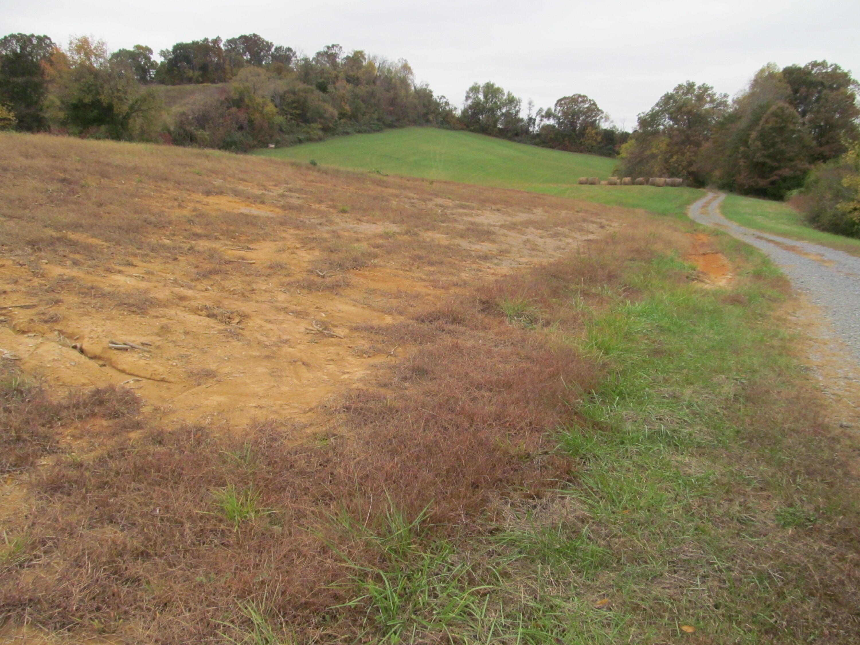 Gray, Tennessee, 37615, United States, ,Land,For Sale,1976821