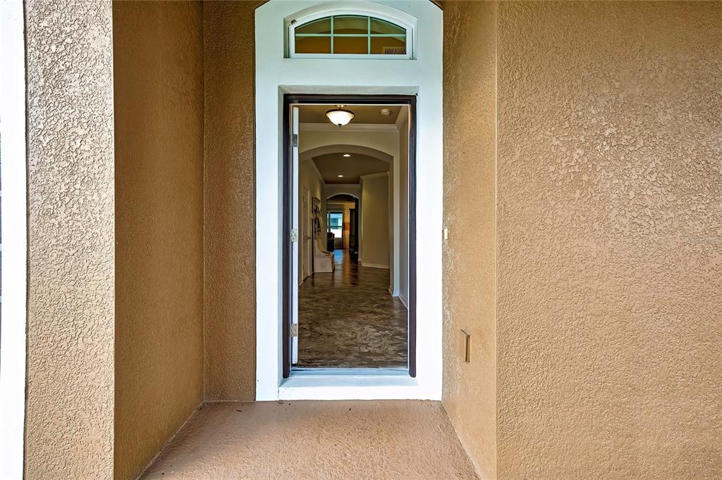 Wesley Chapel, Florida, 33543, United States, 4 Bedrooms Bedrooms, ,2 BathroomsBathrooms,Residential,For Sale,1979426