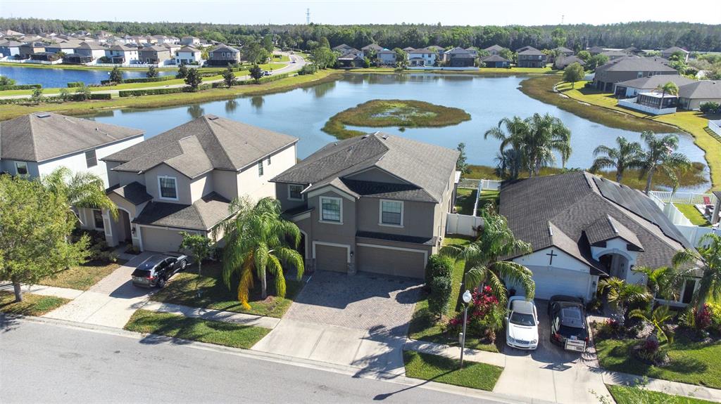 Trinity, Florida, 34655, United States, 6 Bedrooms Bedrooms, ,4 BathroomsBathrooms,Residential,For Sale,1917257
