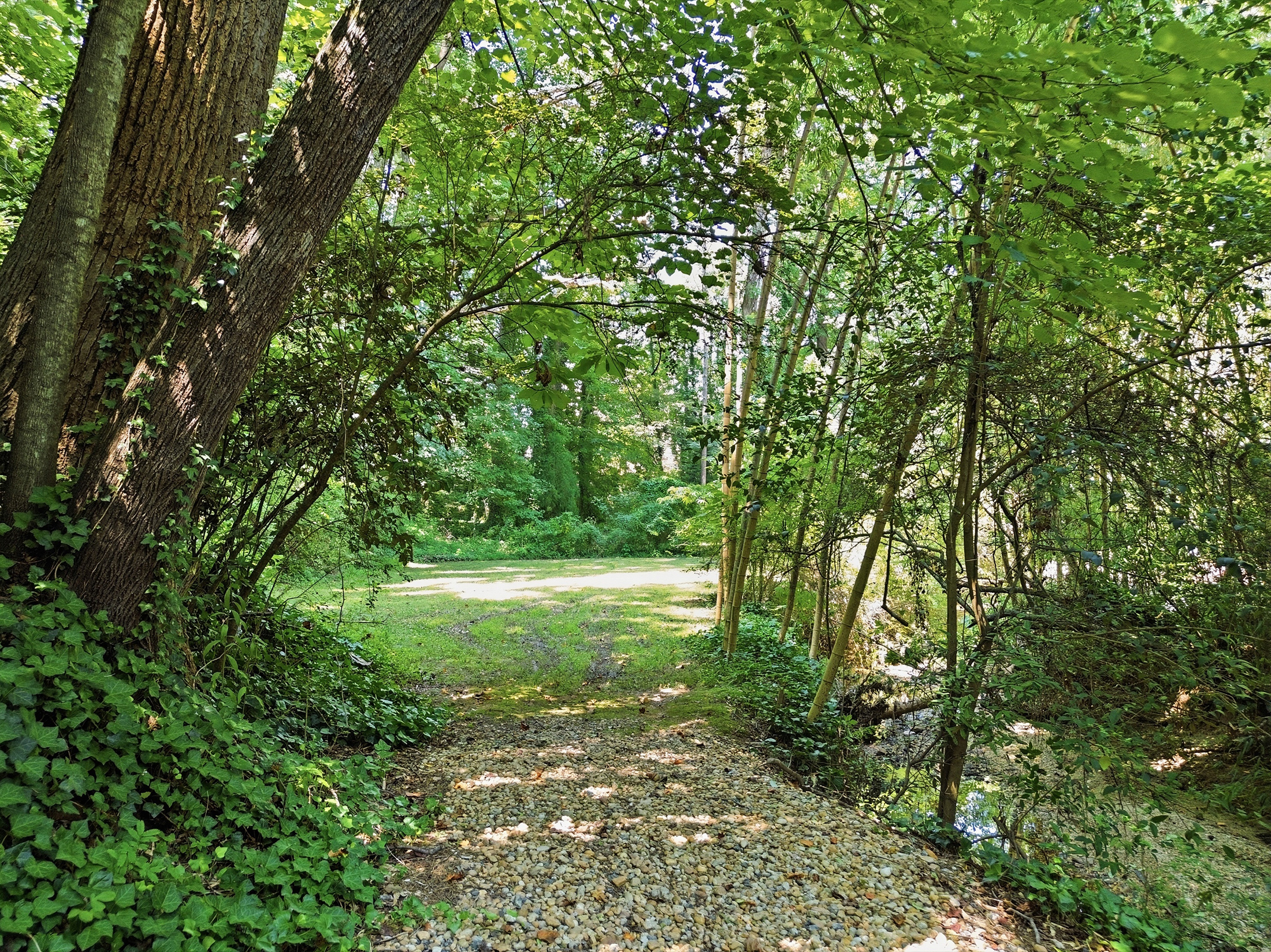  Stunning Home on Nearly 1 Acre Lot in Buckhead - 物件實景