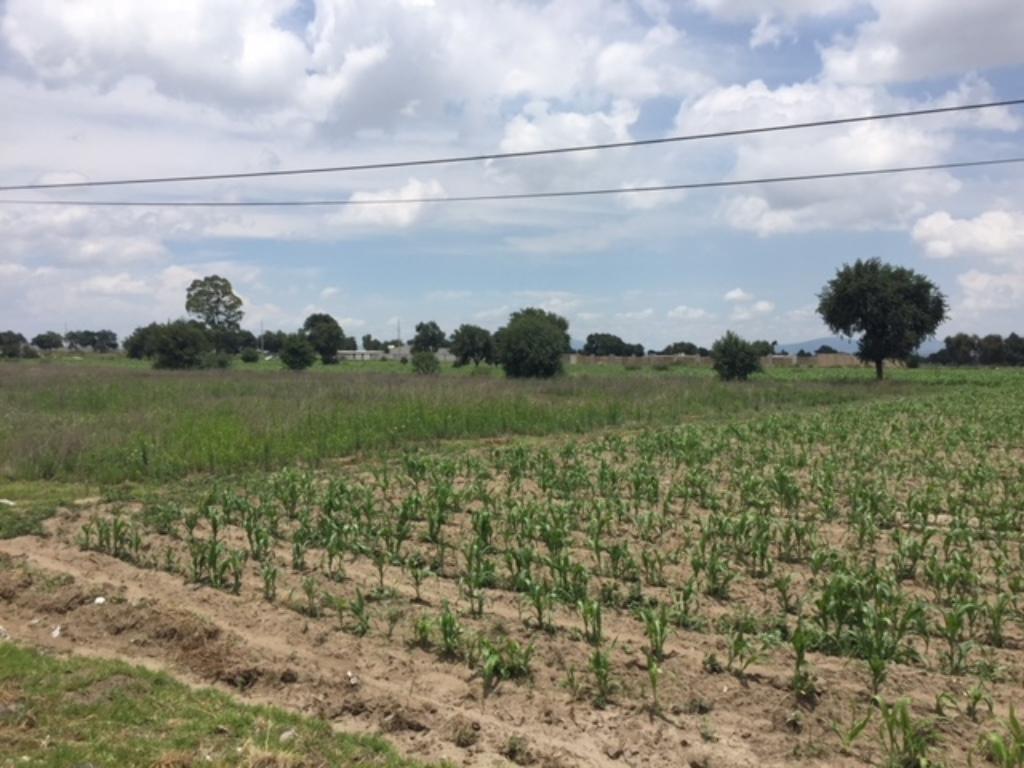 Carretera Mexico-Veracruz, Cuapiaxtla, Tlaxcala, 90560, Mexico, 1 Bedroom Bedrooms, ,Residential,For Sale,Carretera Mexico-Veracruz,1611291