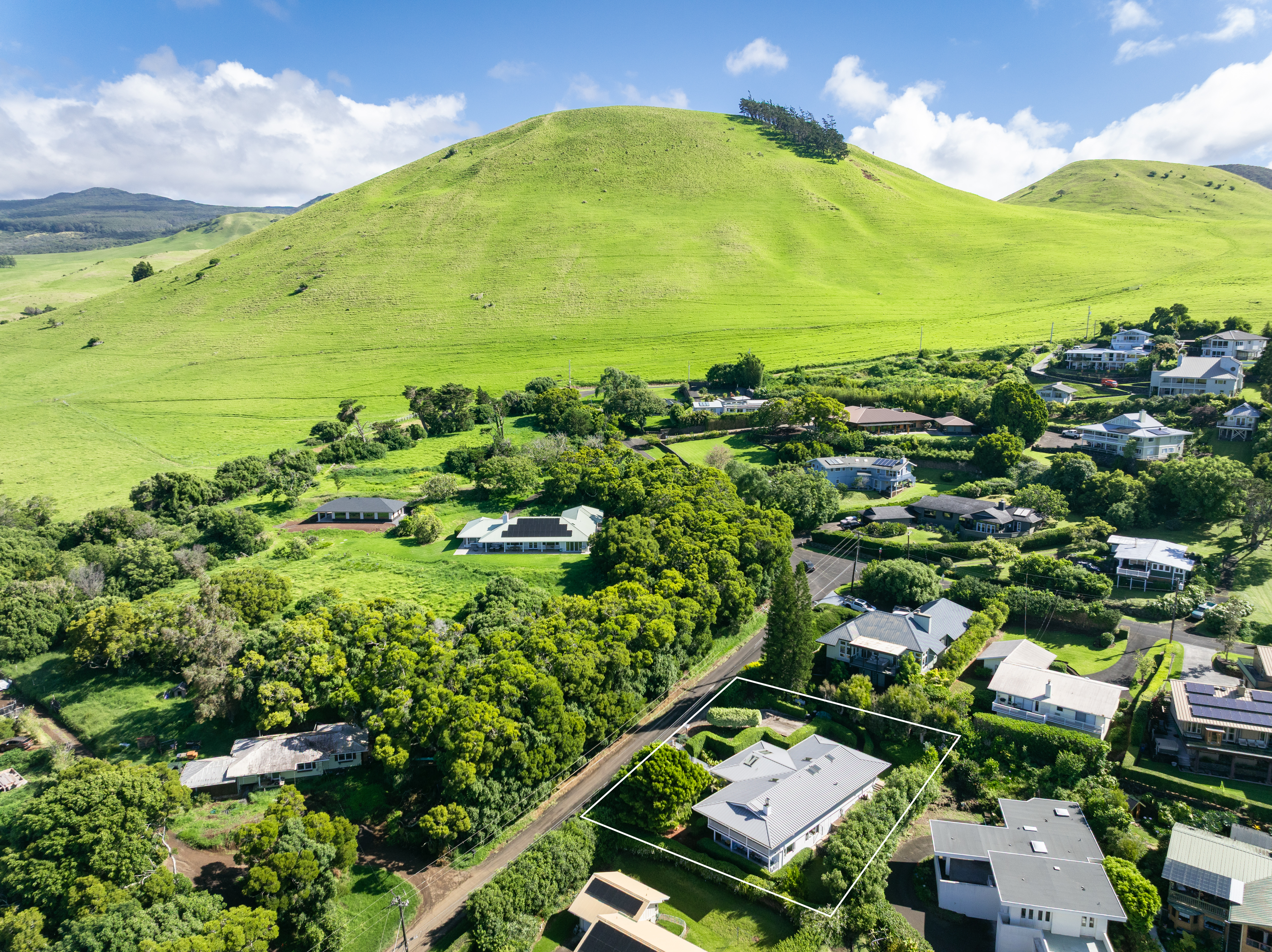  65-1252 Laelae Road, Kamuela, HI 96743 - 物件實景