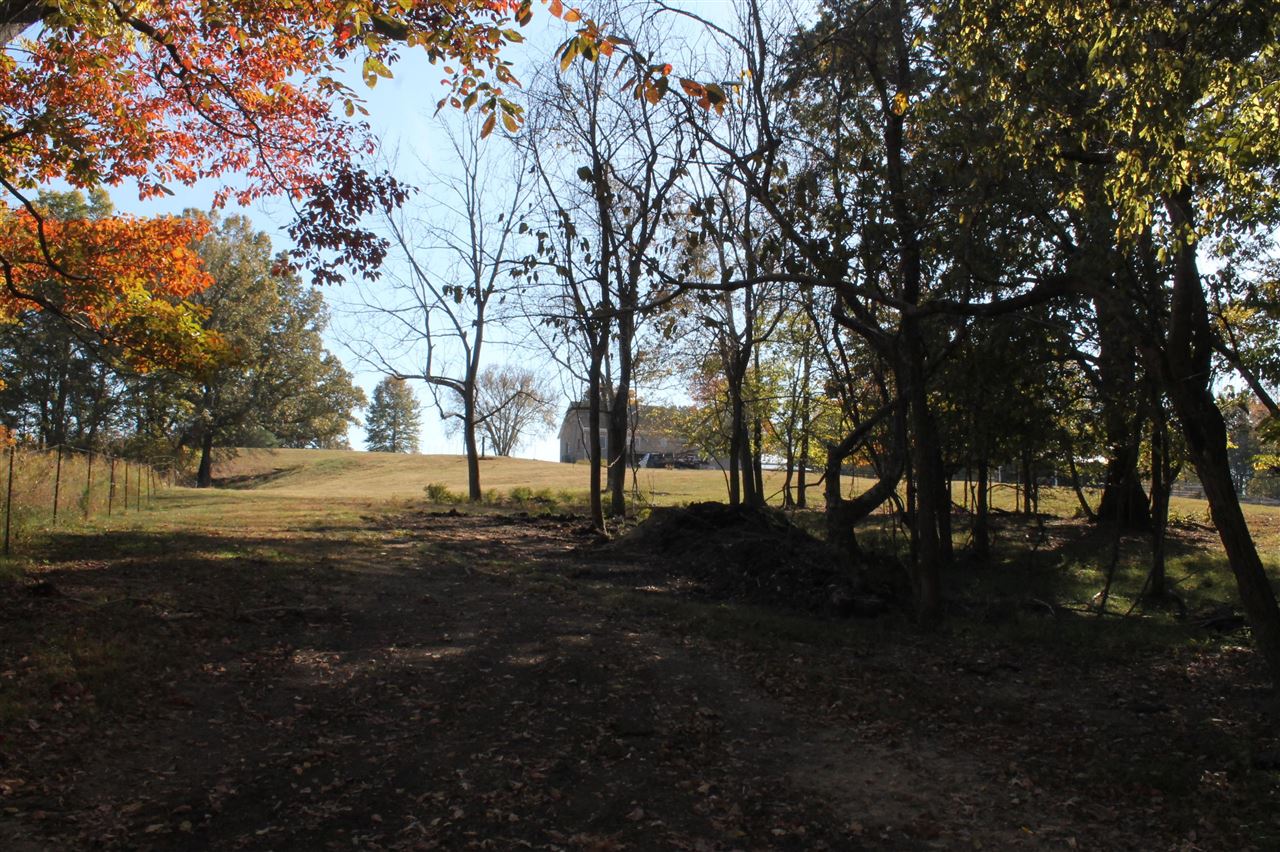 Bowling Green, Kentucky, 42101, United States, 3 Bedrooms Bedrooms, ,2 BathroomsBathrooms,Residential,For Sale,1838101