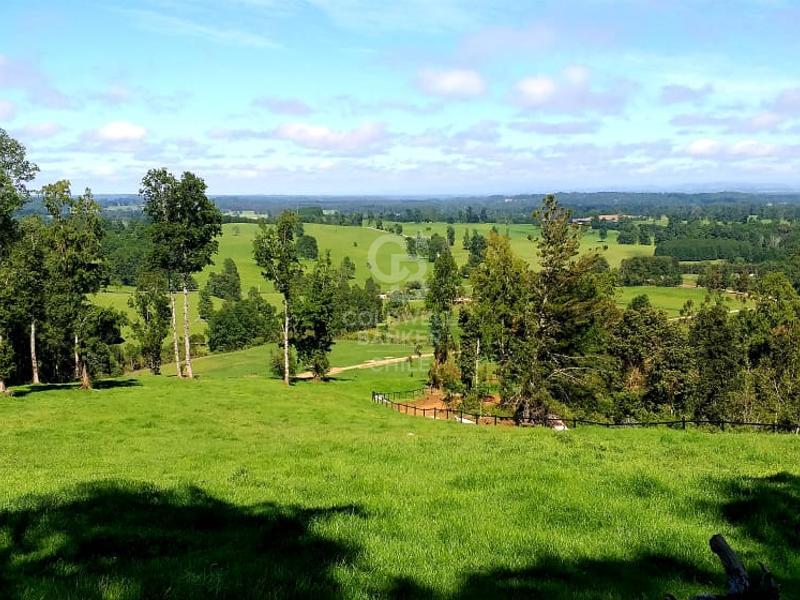 Futrono, Chile, 4 Bedrooms Bedrooms, ,3 BathroomsBathrooms,Residential,For Sale,1966703