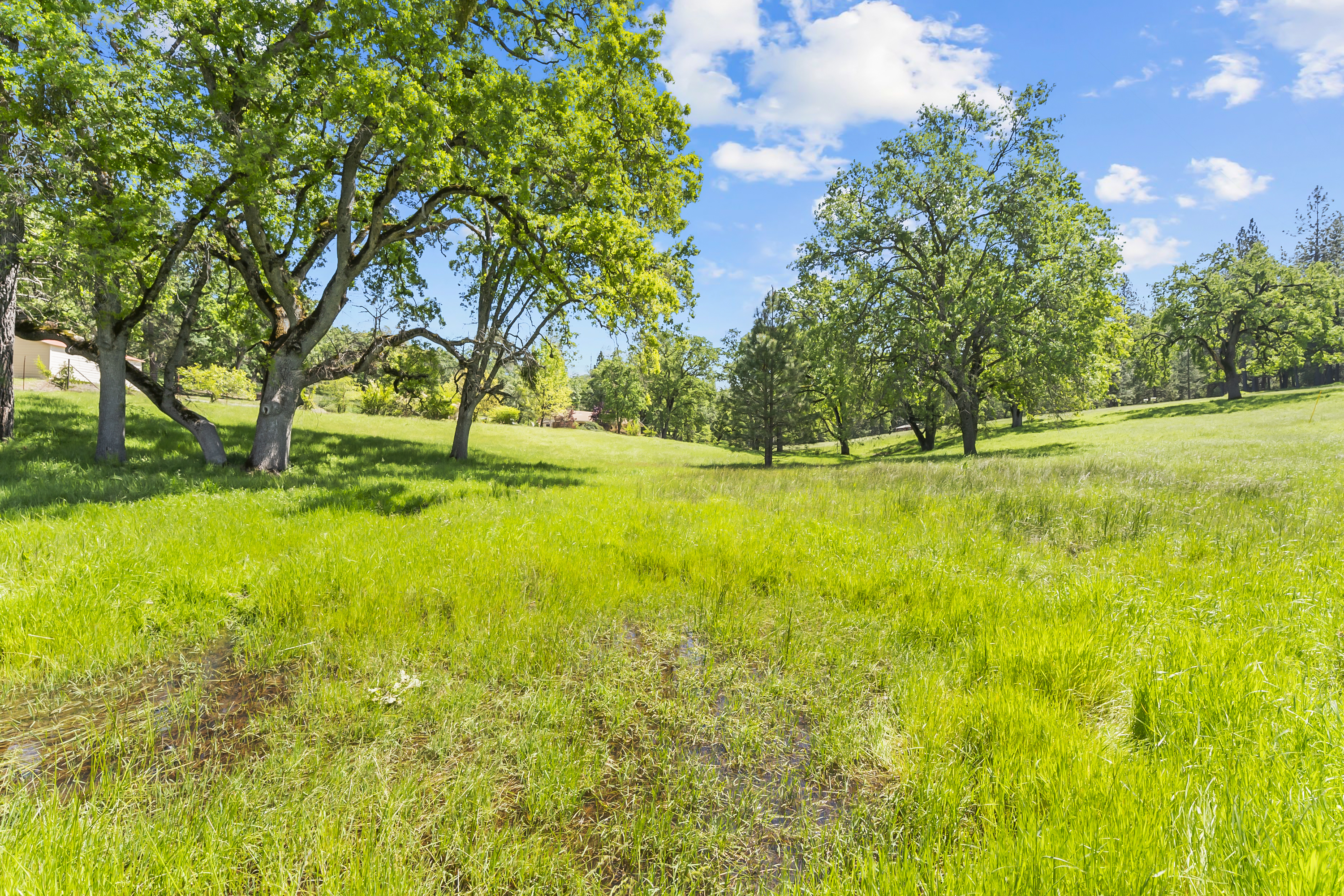  21 Acres - Gated - Renovated - 物件實景