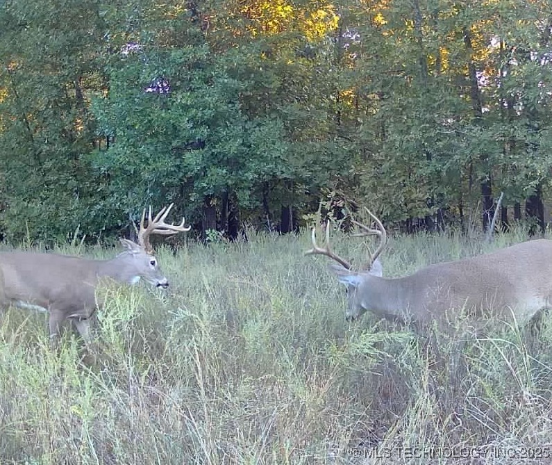 Haskell, Oklahoma, 74436, United States, ,Residential,For Sale,1989173