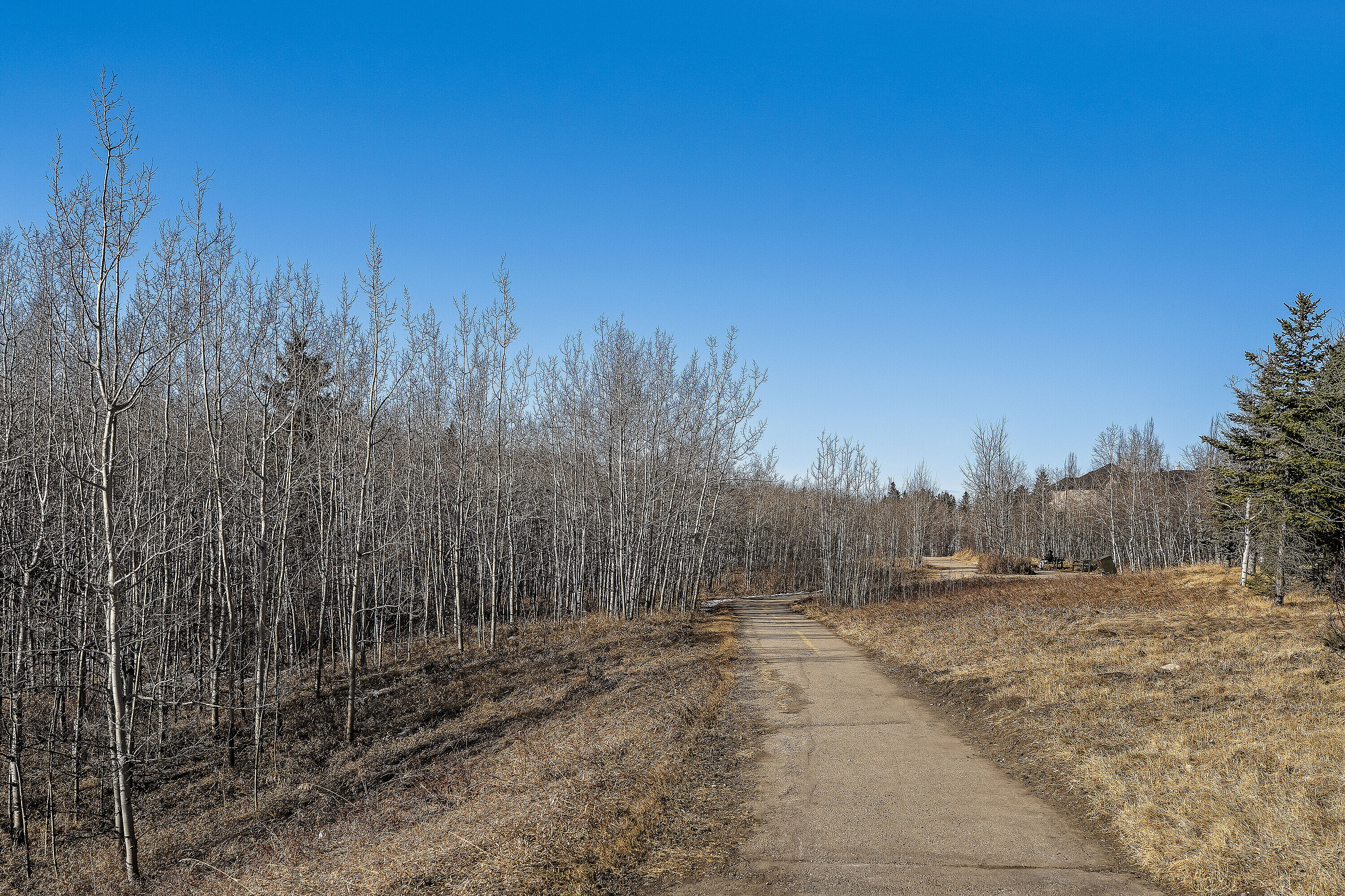  Calgary, Calgary and Foothills - 物件實景
