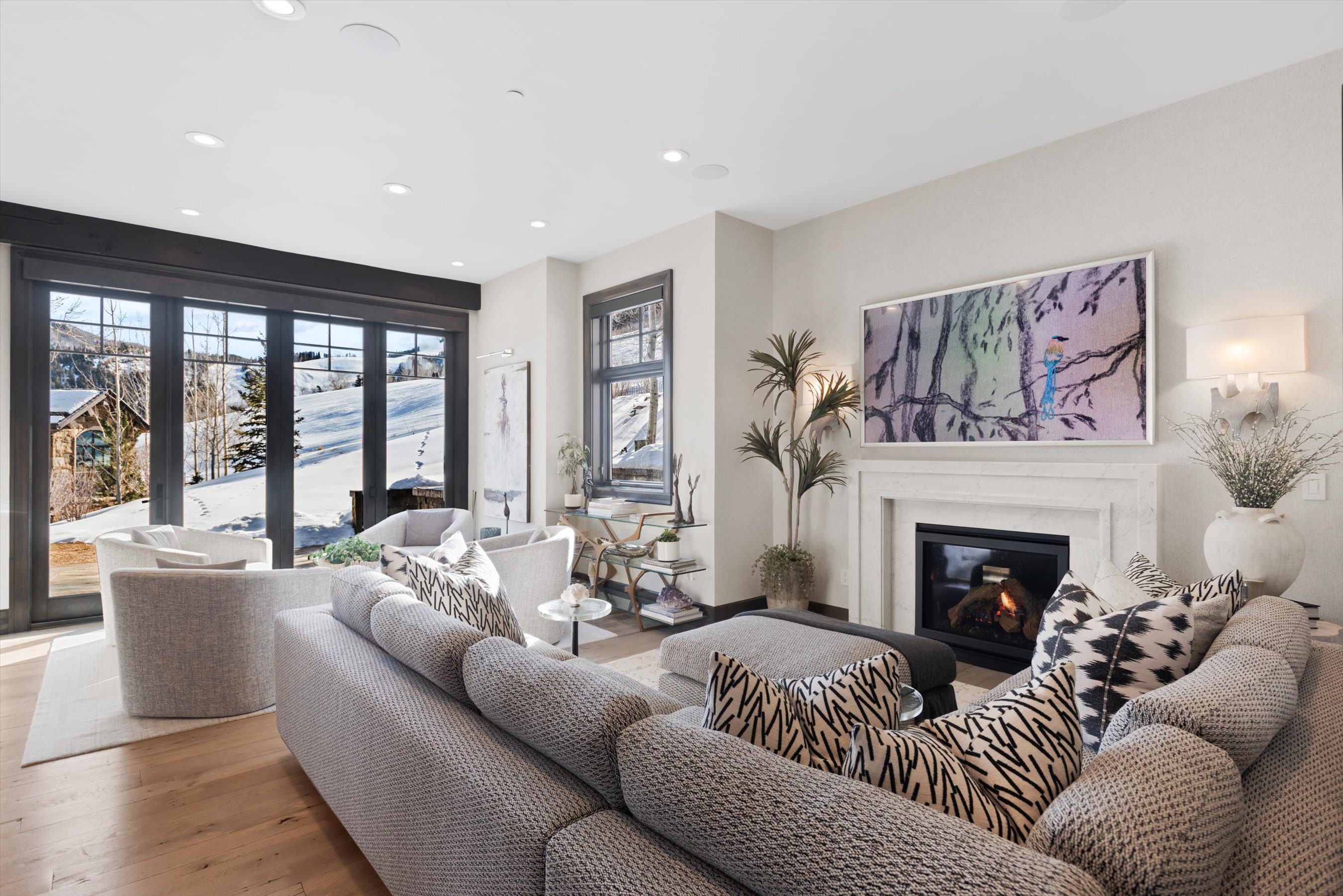  15 South Willow Court, Aspen, CO 81611 - 物件實景