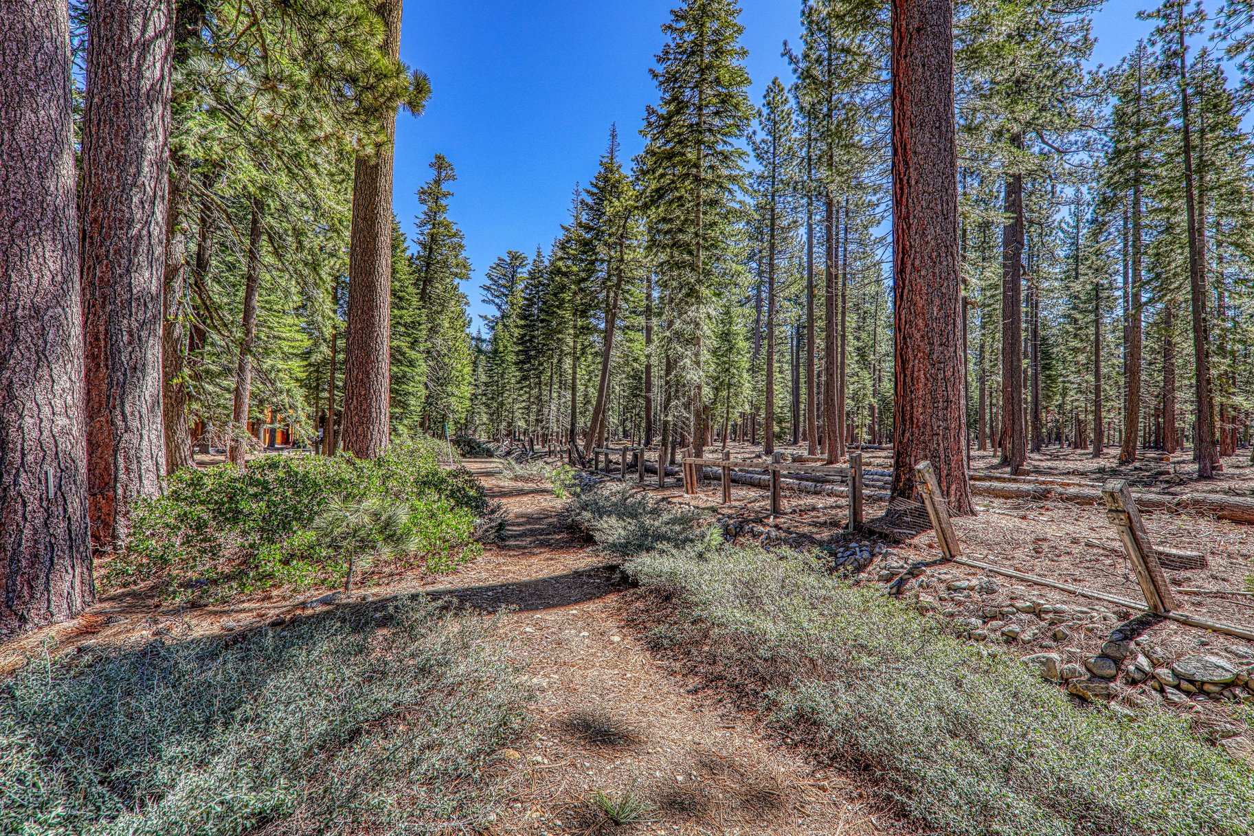  Quaint Cabin Near Trails in Tahoma - 物件實景