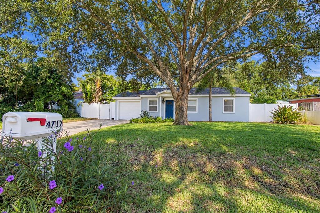 Anita Blvd, Tampa, FL 33611 #1