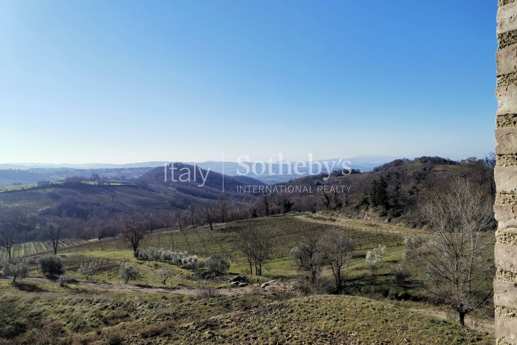  Fascinating property with vineyards and olive groves - 物件實景