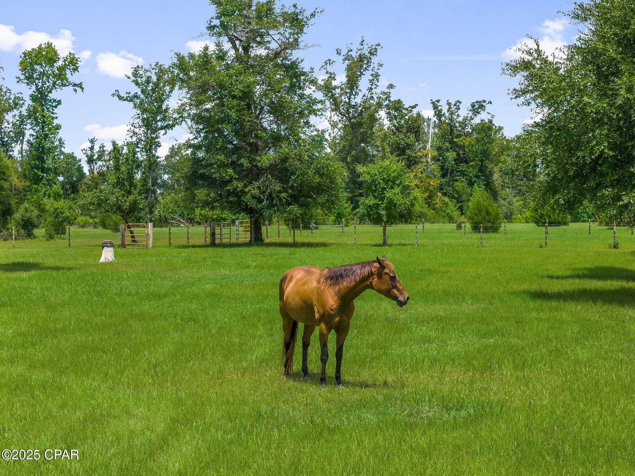 Youngstown, Florida, 32466, United States, 6 Bedrooms Bedrooms, ,6 BathroomsBathrooms,Residential,For Sale,1983496