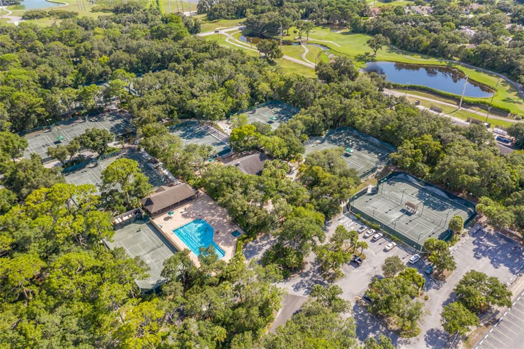 Sarasota, Florida, 34235, United States, 3 Bedrooms Bedrooms, ,2 BathroomsBathrooms,Residential,For Sale,1997253