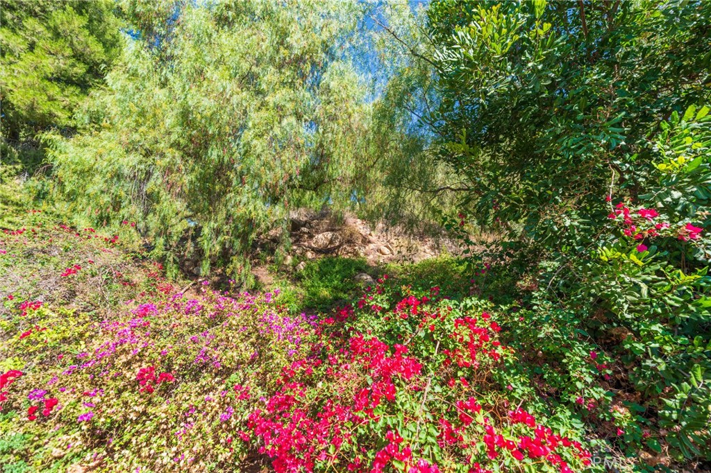 Riverside, California, 92503, United States, 3 Bedrooms Bedrooms, ,3 BathroomsBathrooms,Residential,For Sale,1906100