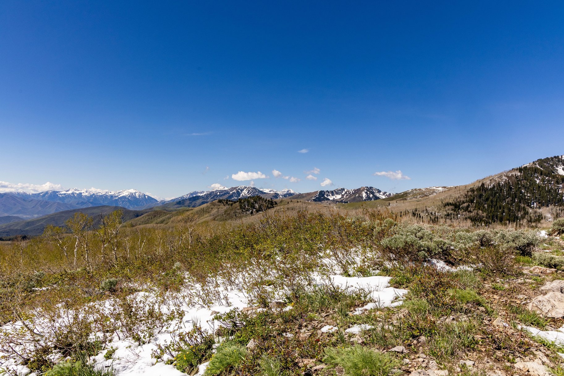  24 Acre Development Parcel in Bonanza Flats - 物件實景
