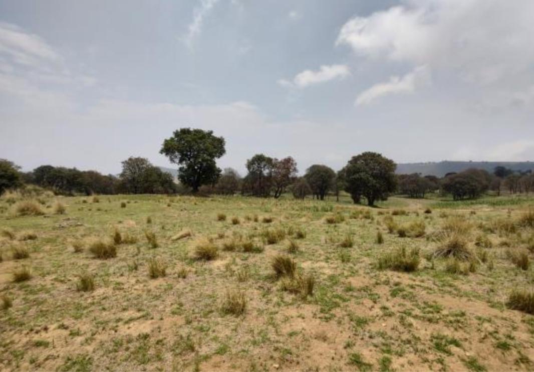 Camino sin nombre, Ayapango, Estado de México, 56760, Mexico, 1 Bedroom Bedrooms, ,Residential,For Sale,Camino sin nombre,1616925