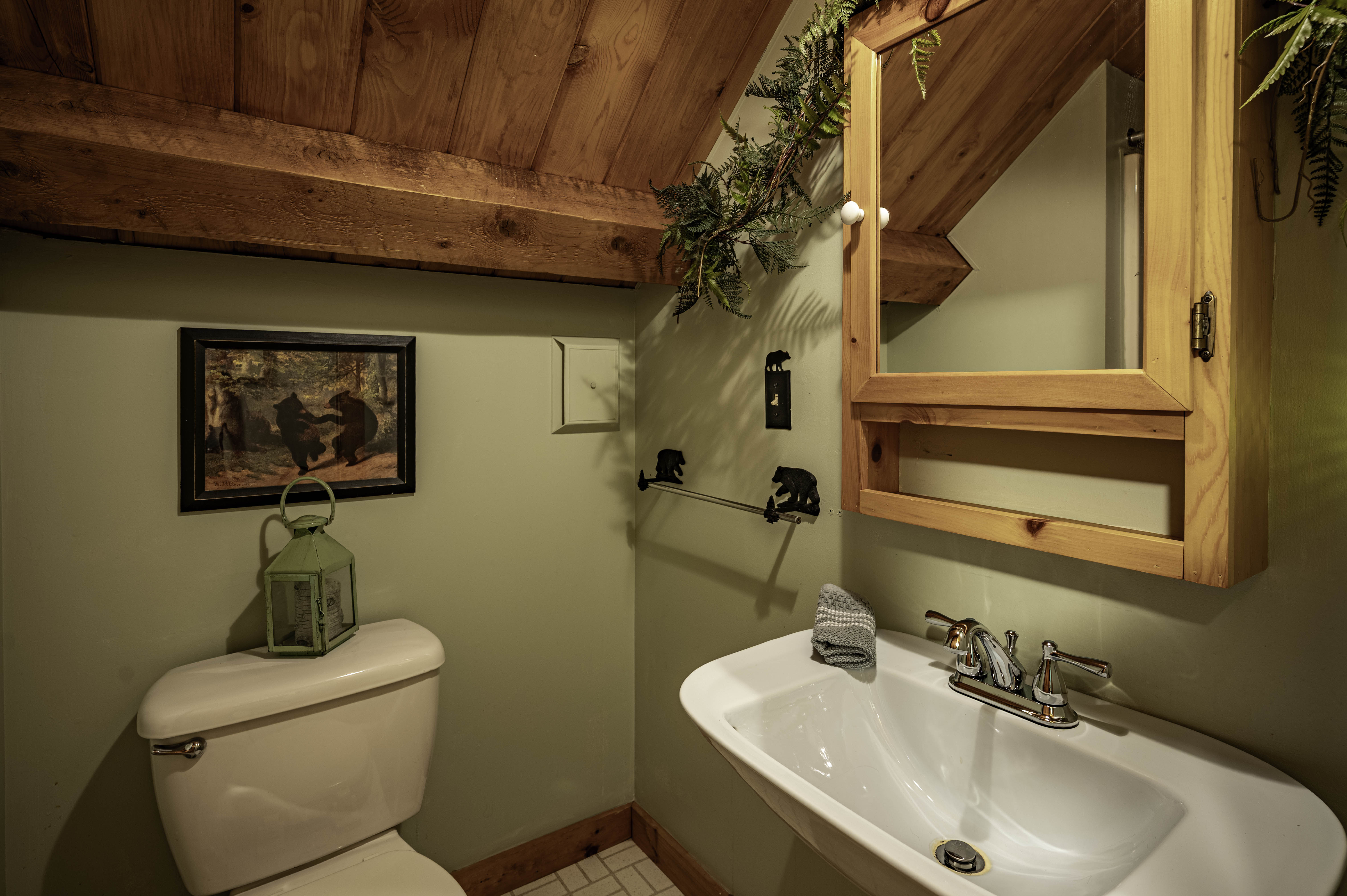  A Classic Adirondack Log Home on Pristine First Lake Frontage - 物件實景